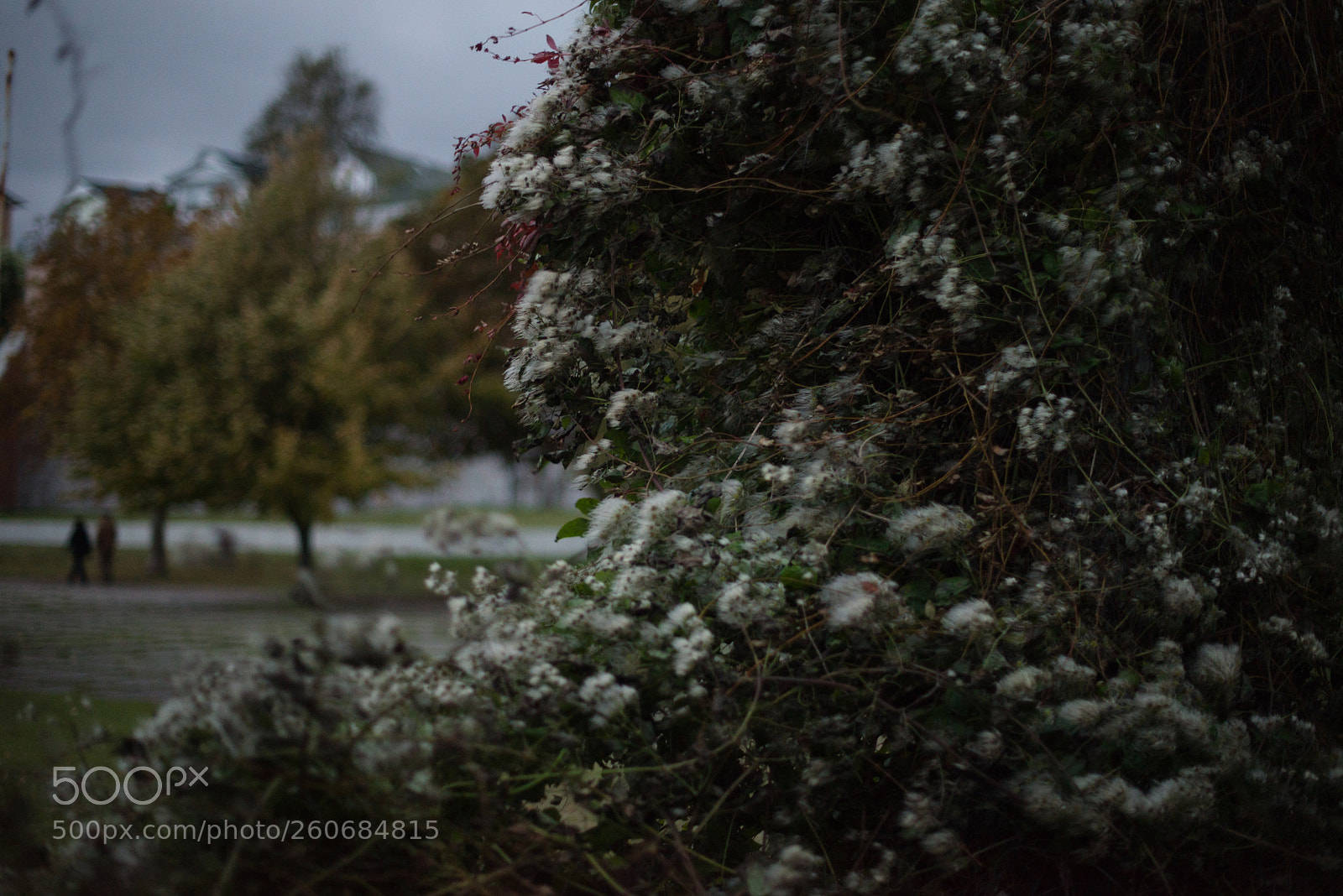 Nikon D600 sample photo. Hvb photography