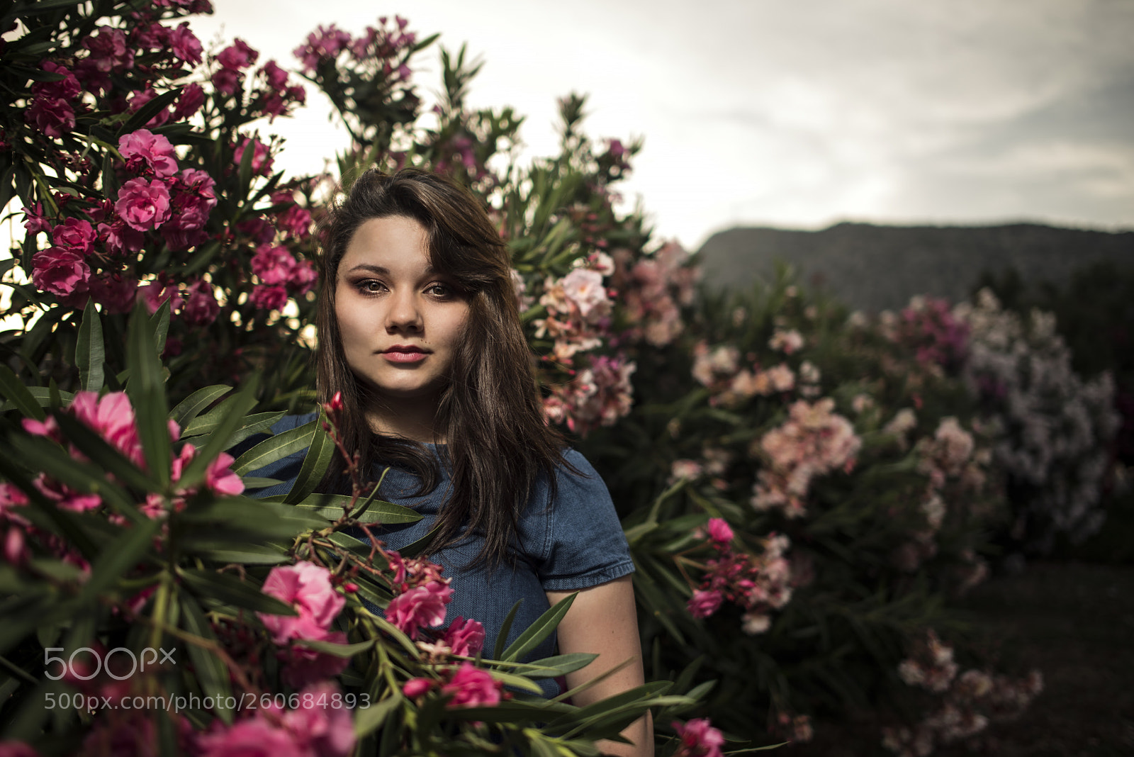 Nikon D750 sample photo. Untitled photography