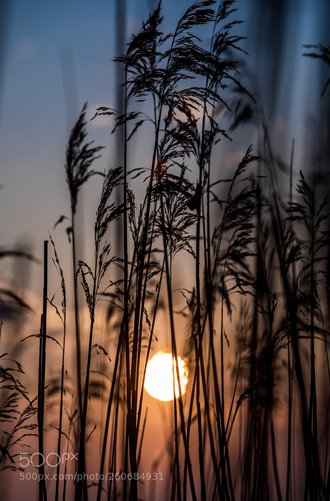 Canon EOS 5D Mark IV sample photo. Sunrise photography
