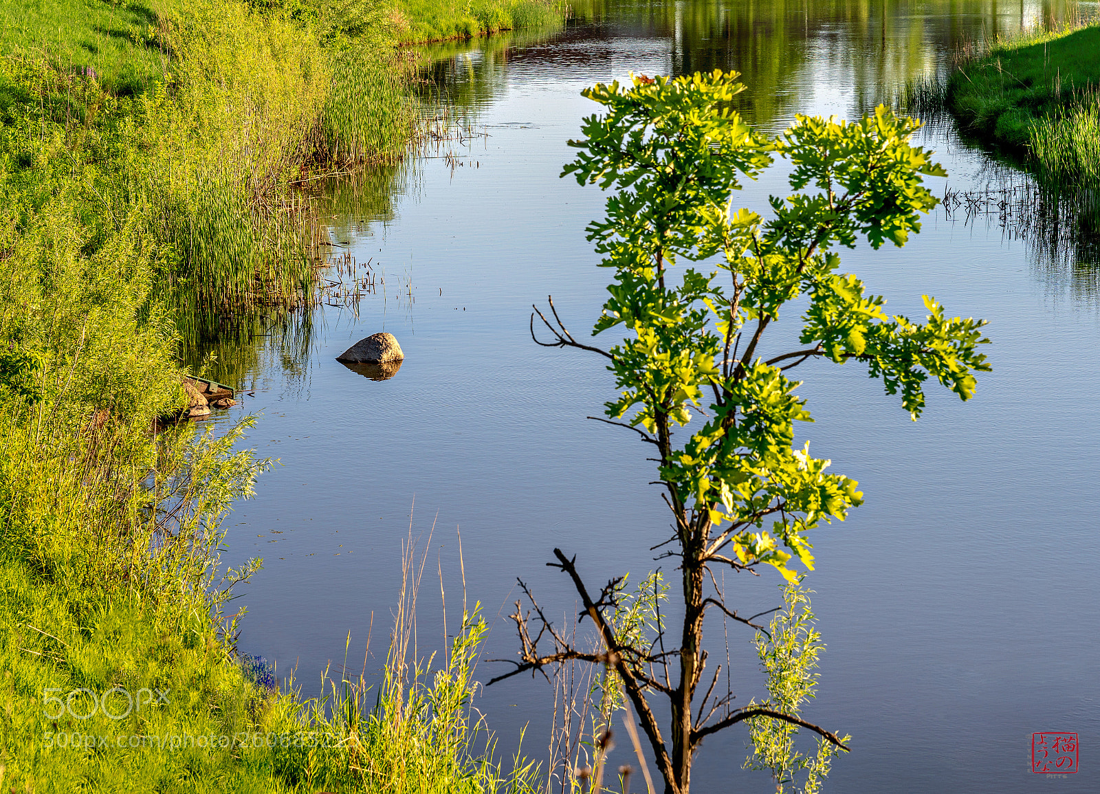 Sony a7 III sample photo. Summer elements photography