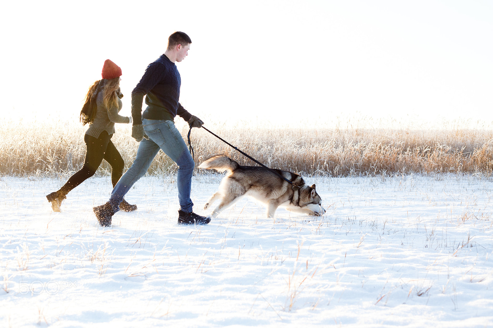 Canon EOS 6D sample photo. Doggy walking photography