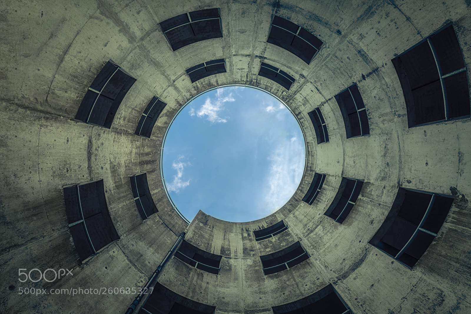 Nikon D750 sample photo. Trapped photography