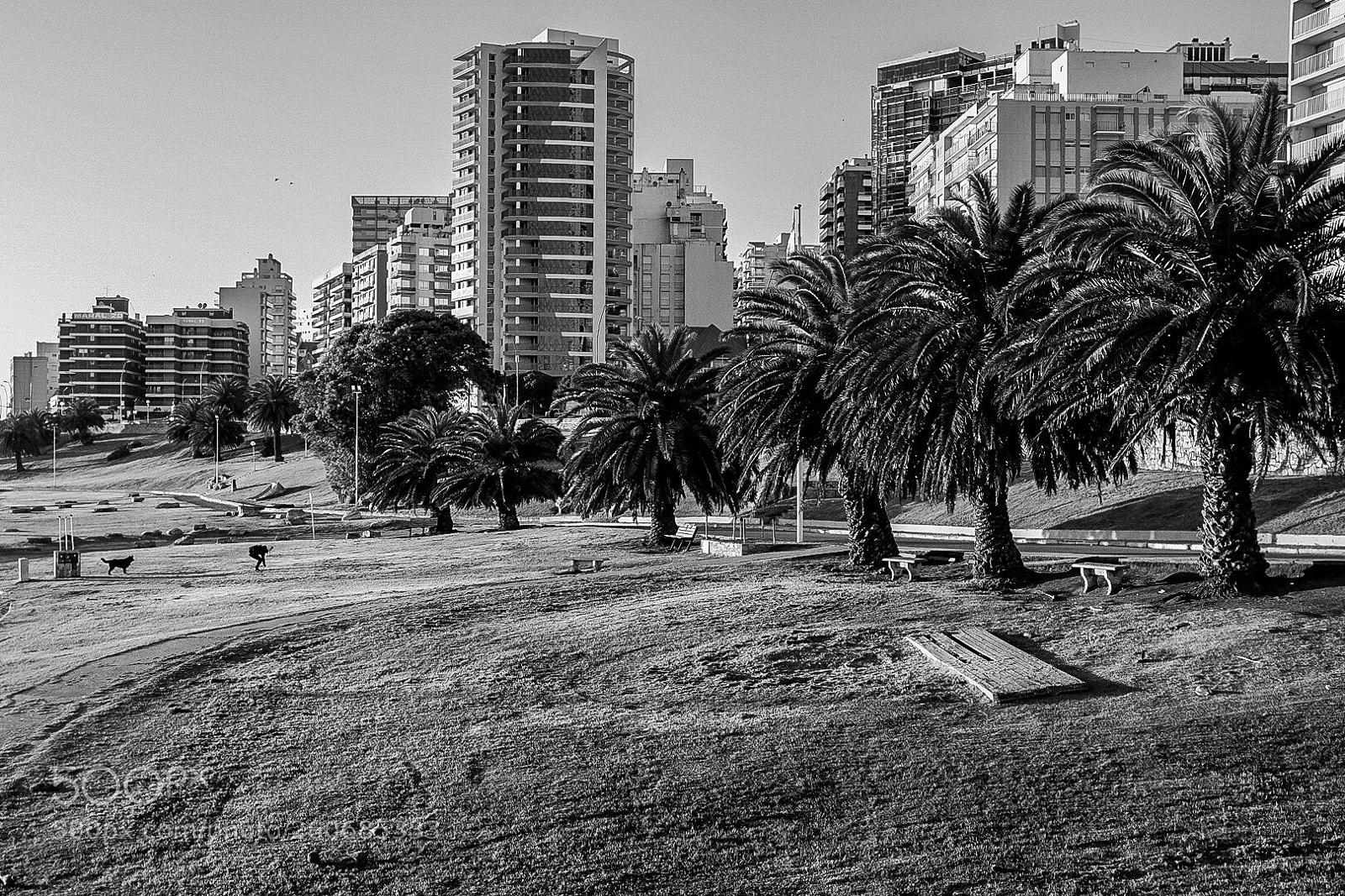 Fujifilm X100T sample photo. Postal de mar del photography