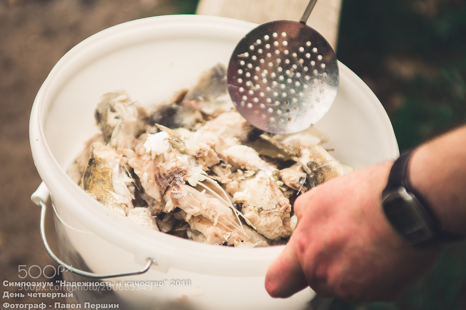 Canon EOS 6D sample photo. Fish photography