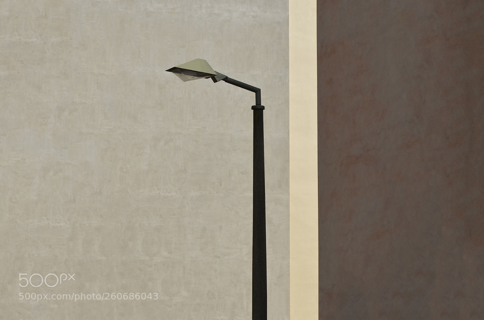 Nikon D7000 sample photo. Vertical light photography