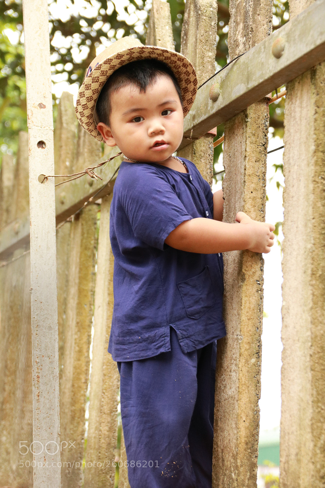 Canon EOS 750D (EOS Rebel T6i / EOS Kiss X8i) sample photo. Img photography