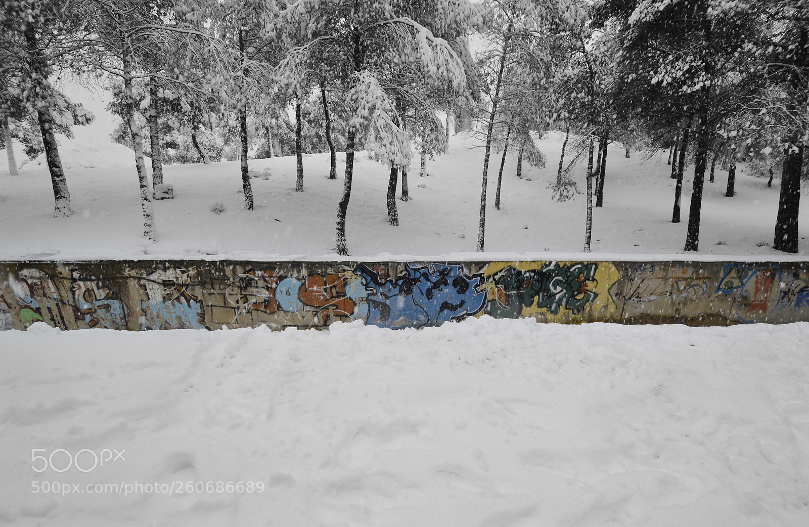 Nikon D3100 sample photo. Snow photography
