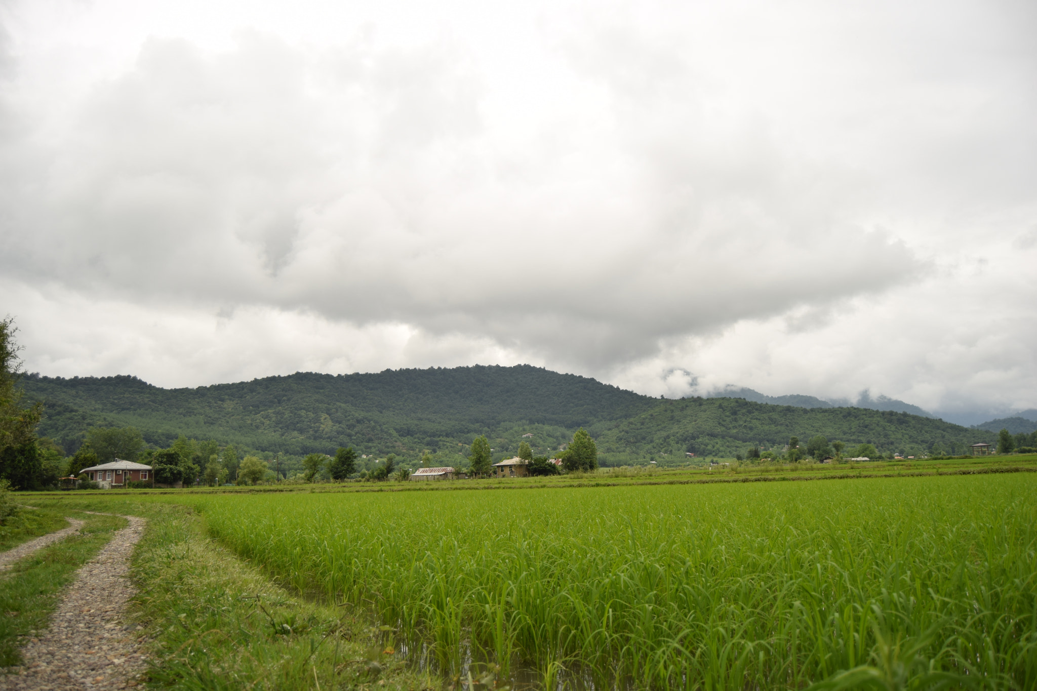 Nikon D3300 sample photo