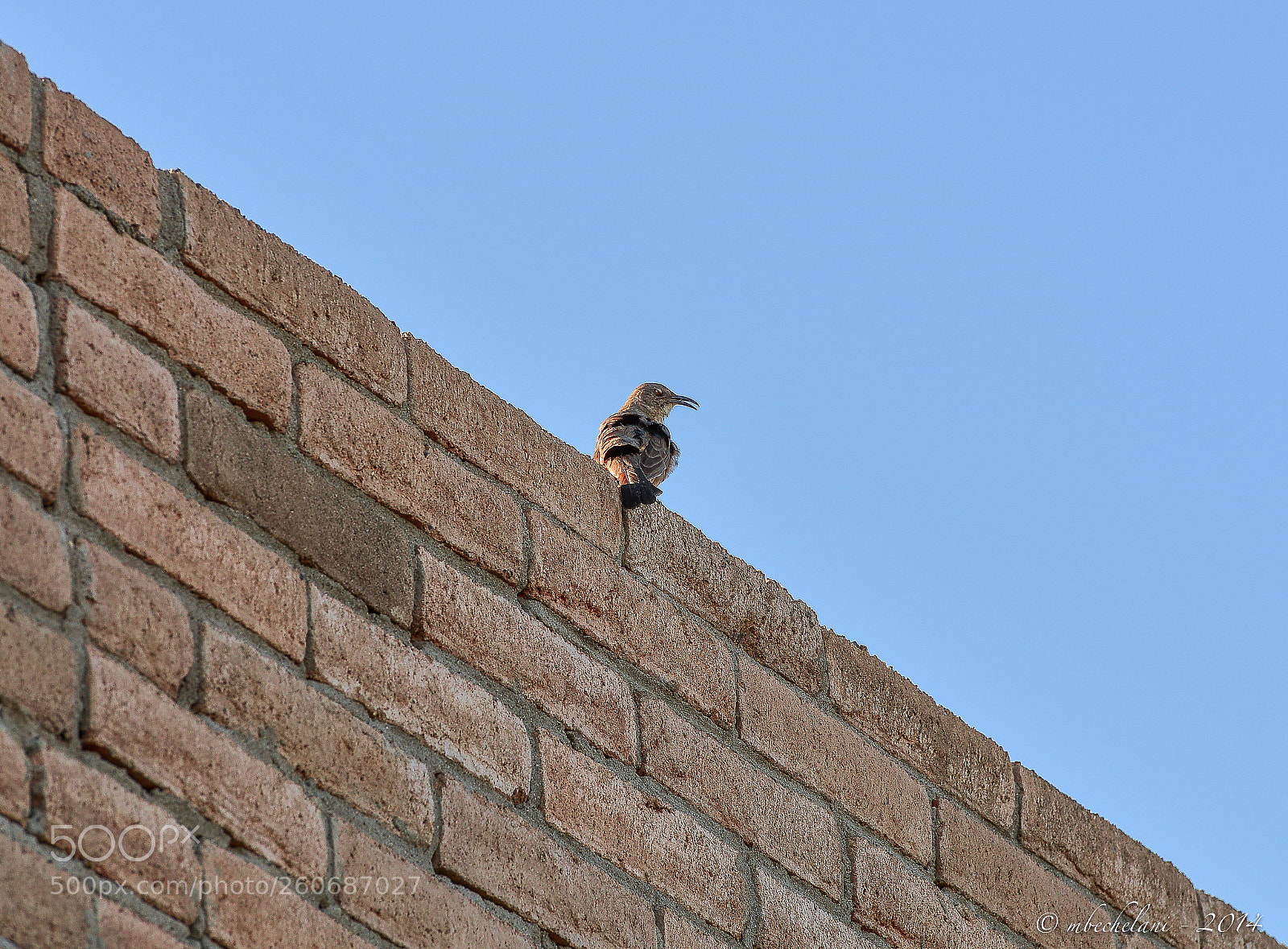 Nikon D800 sample photo. Daeffo photography