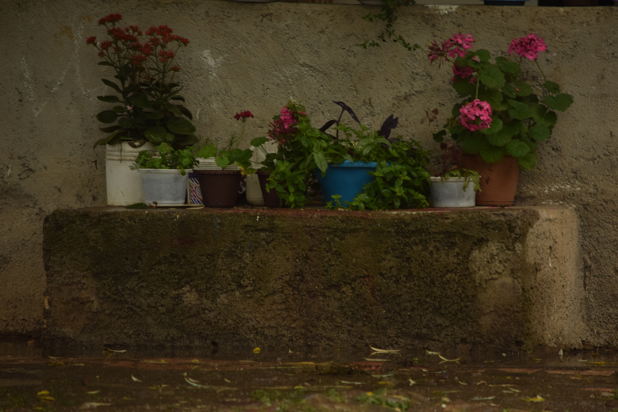 Nikon D3300 sample photo