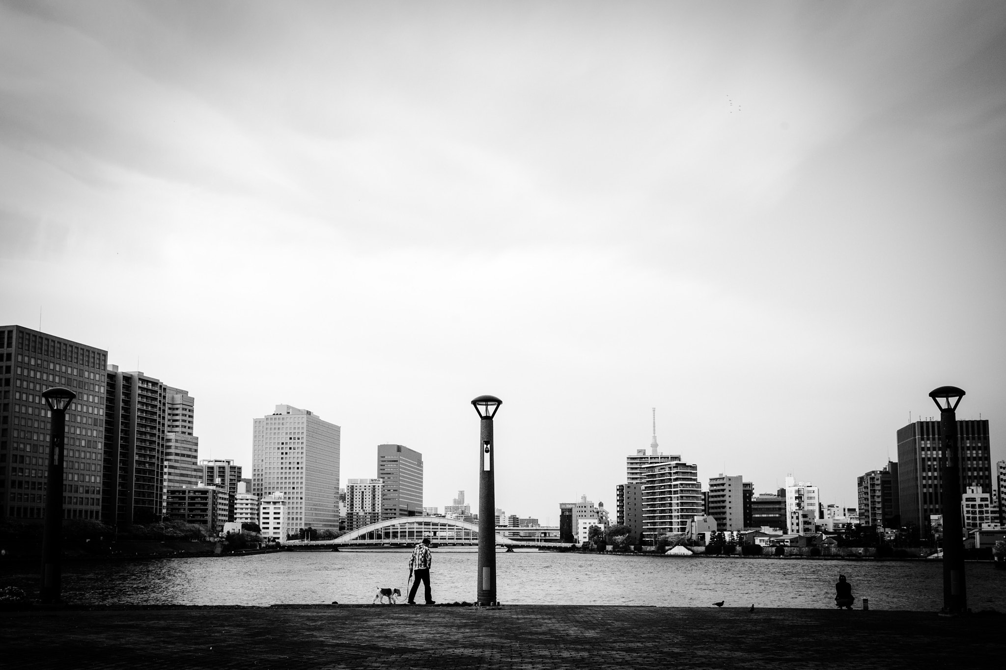 Ricoh GR II sample photo. At the riverside  photography