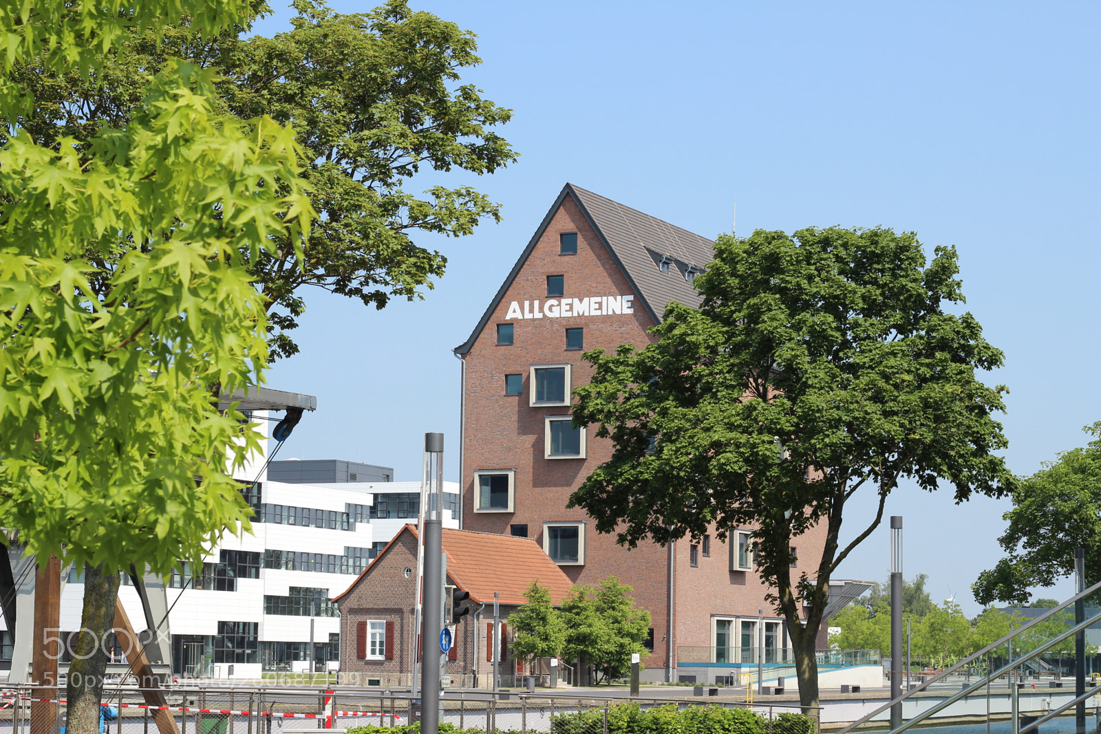 Canon EOS 600D (Rebel EOS T3i / EOS Kiss X5) + Canon EF 50mm F1.8 STM sample photo. University kleve photography