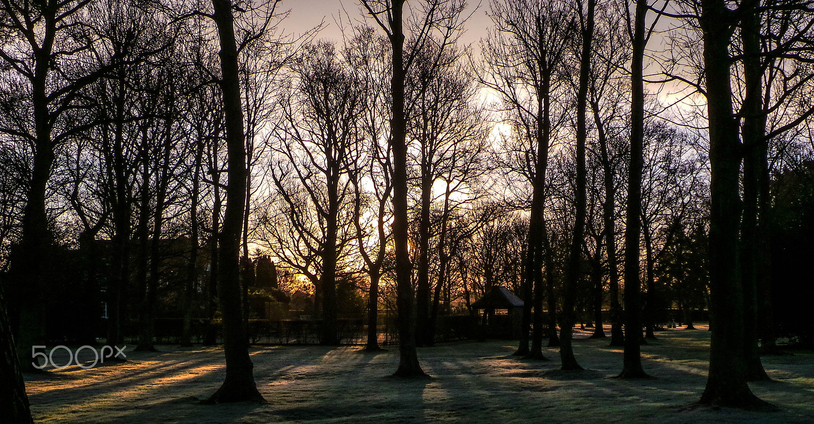 Samsung Galaxy Camera (Wi-Fi) sample photo. Chobham winter morning photography