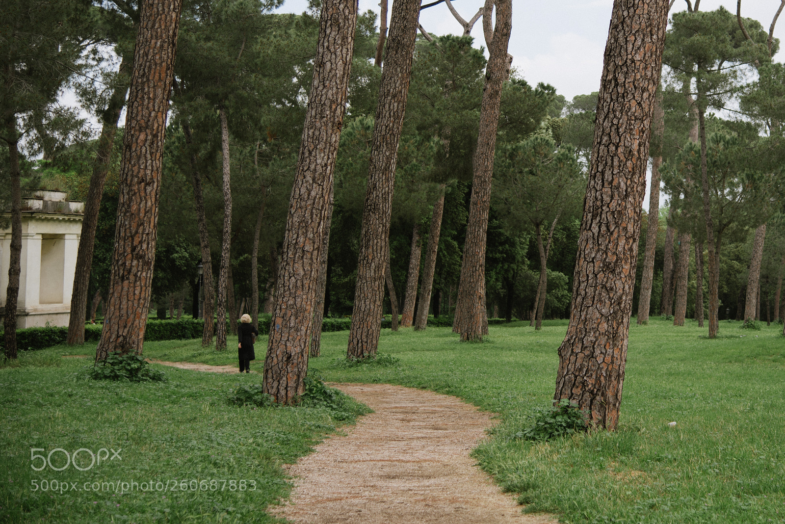 Nikon D750 sample photo. Park photography