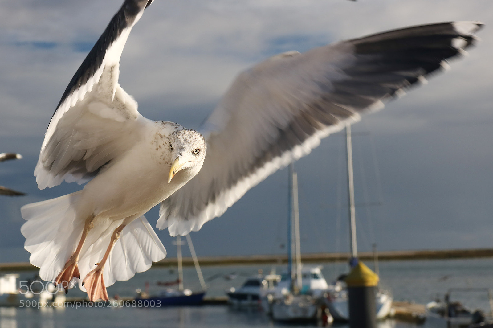 Canon EOS 750D (EOS Rebel T6i / EOS Kiss X8i) sample photo. Portugal photography