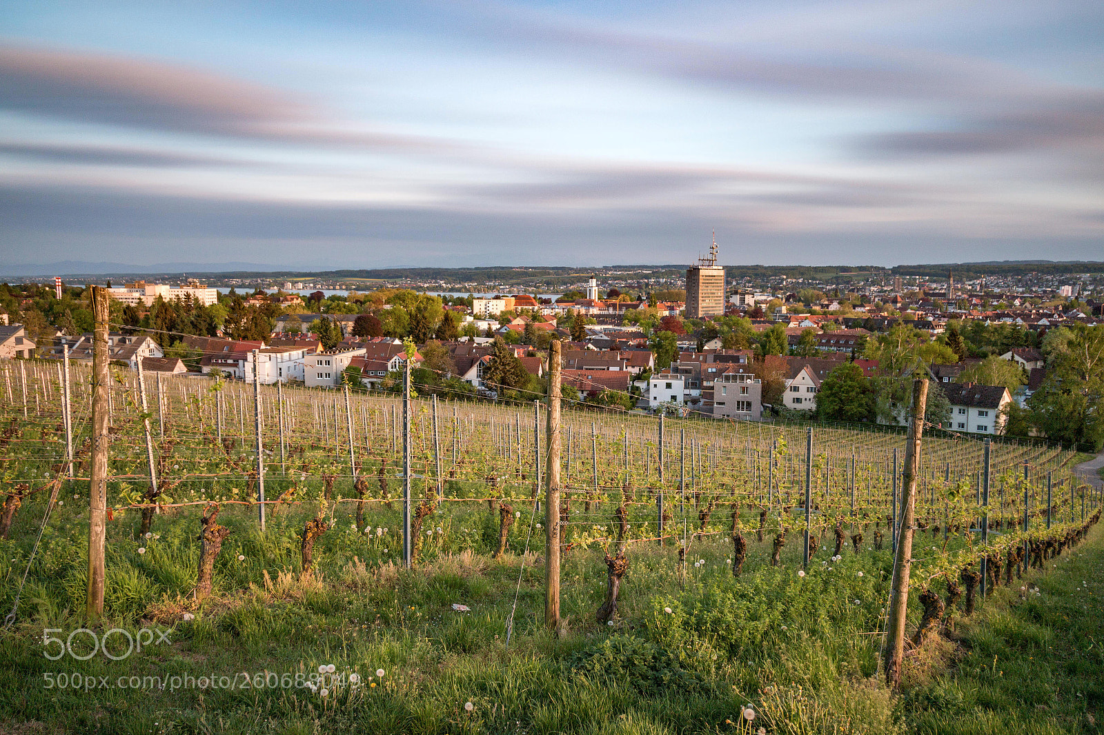 Canon EOS 70D sample photo. Vineyard view photography