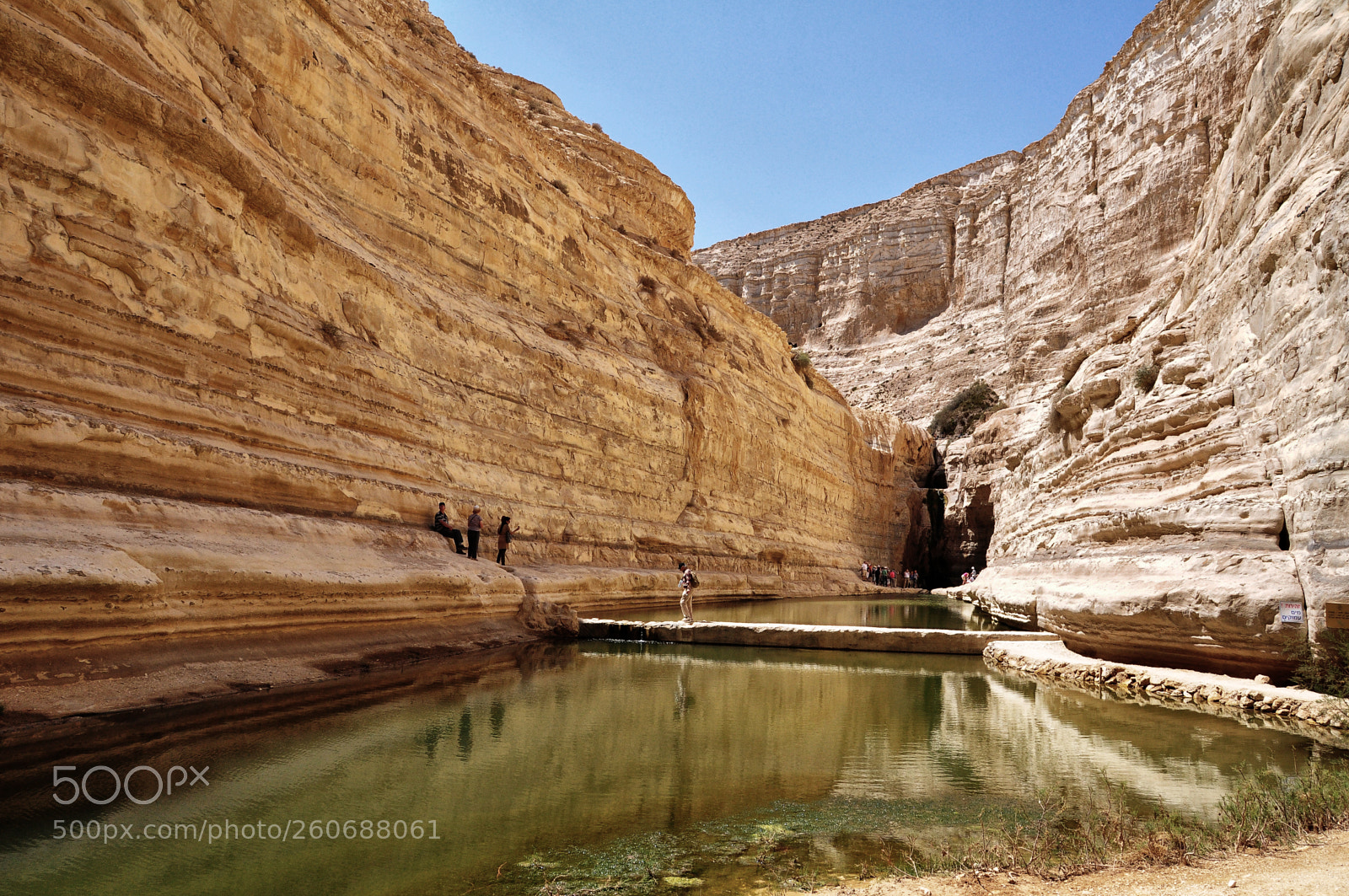 Nikon D90 sample photo. Ein avdat canyon (3) photography