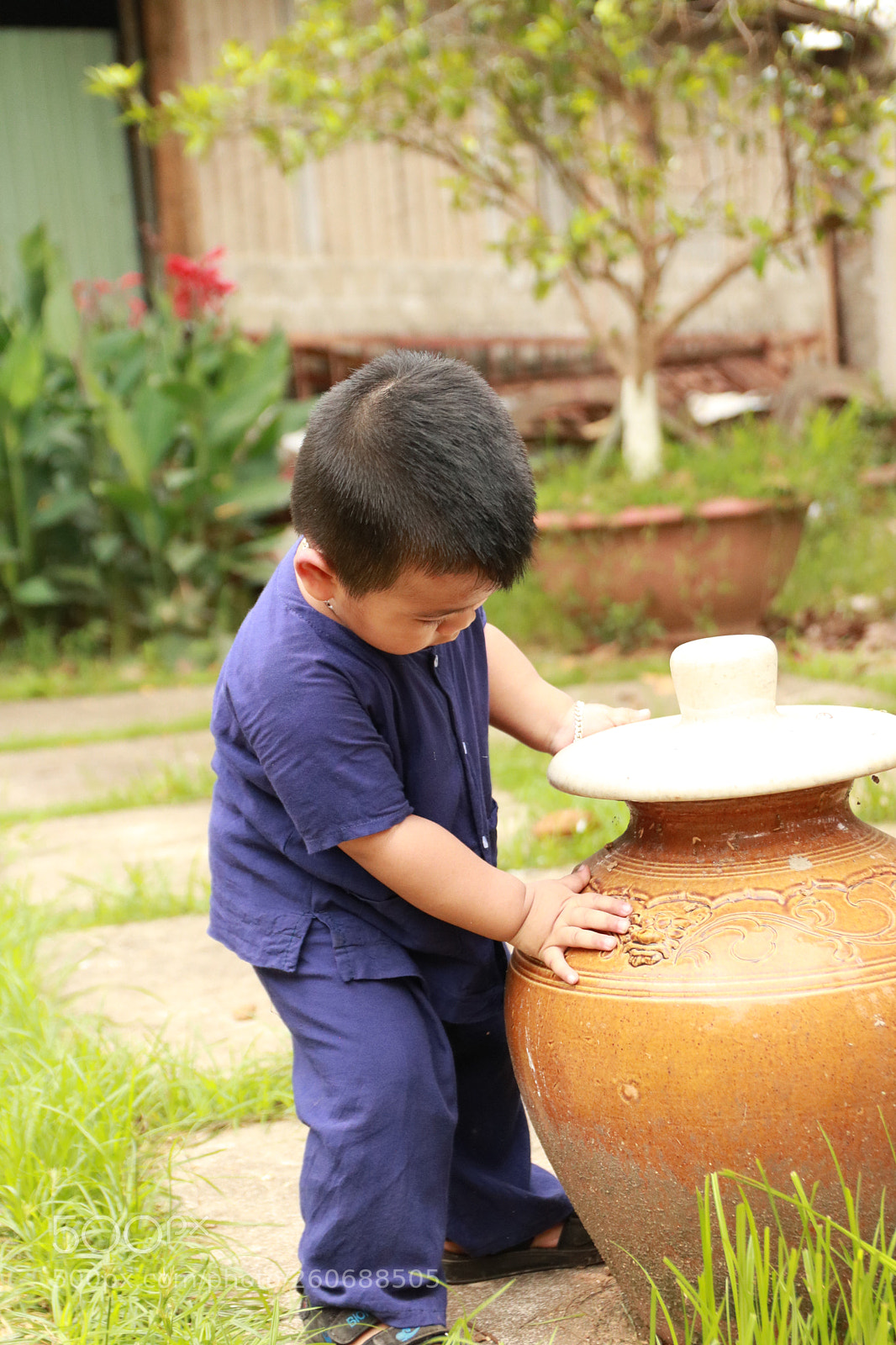 Canon EOS 750D (EOS Rebel T6i / EOS Kiss X8i) sample photo. Img photography