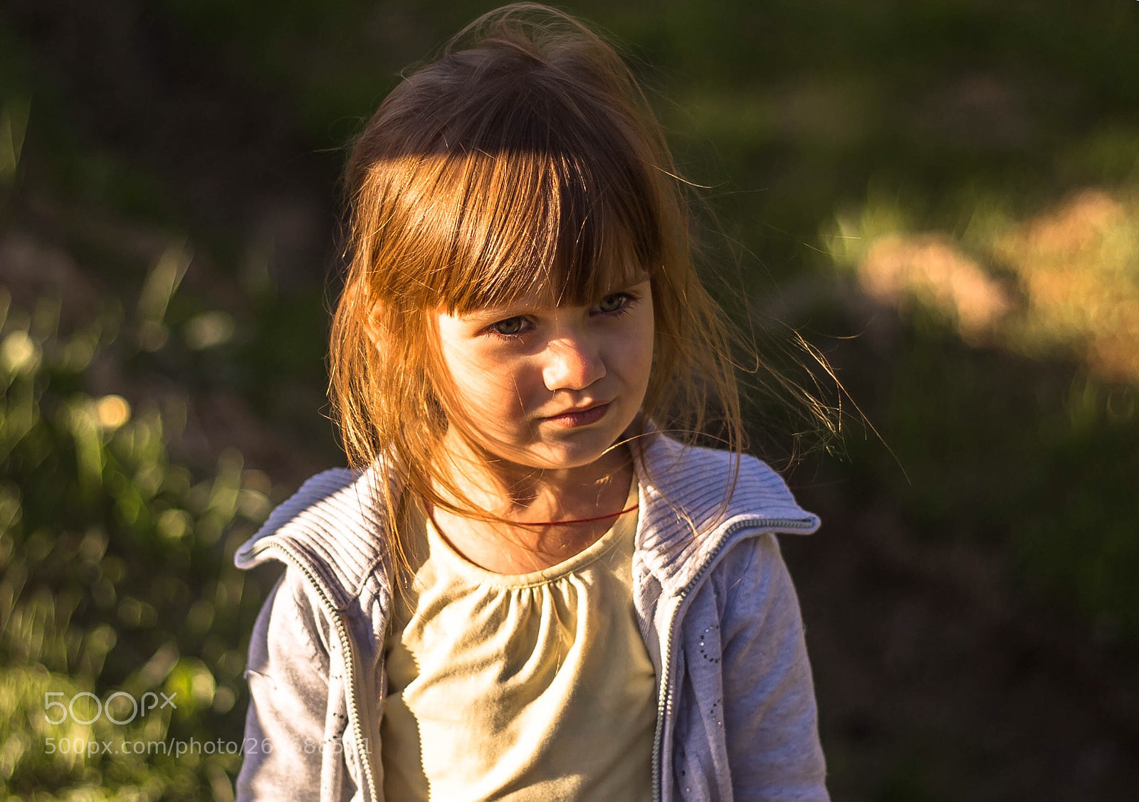 Canon EOS 6D sample photo. Untitled photography