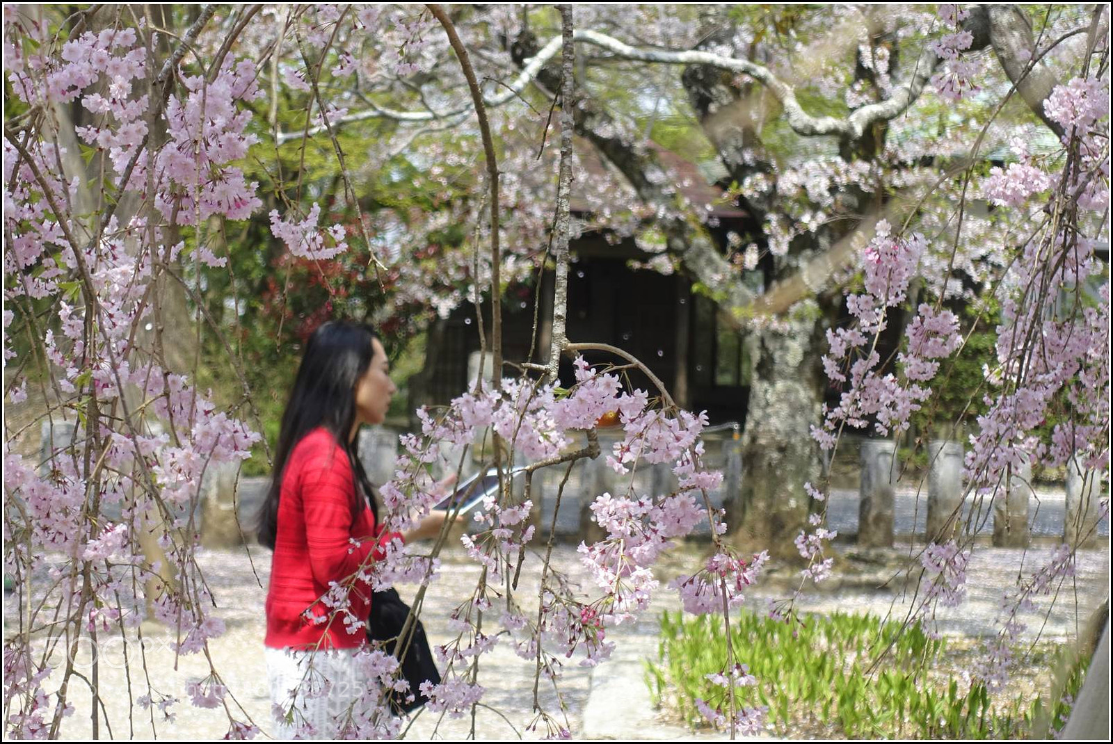 Sony Cyber-shot DSC-RX100 III sample photo. The lady in red photography