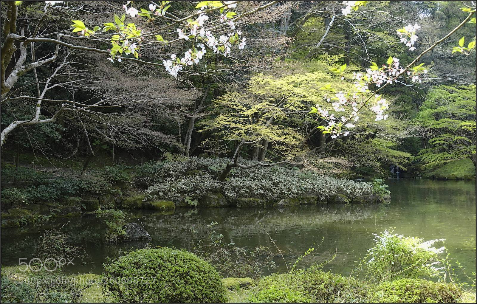 Sony Cyber-shot DSC-RX100 III sample photo. Narita park photography