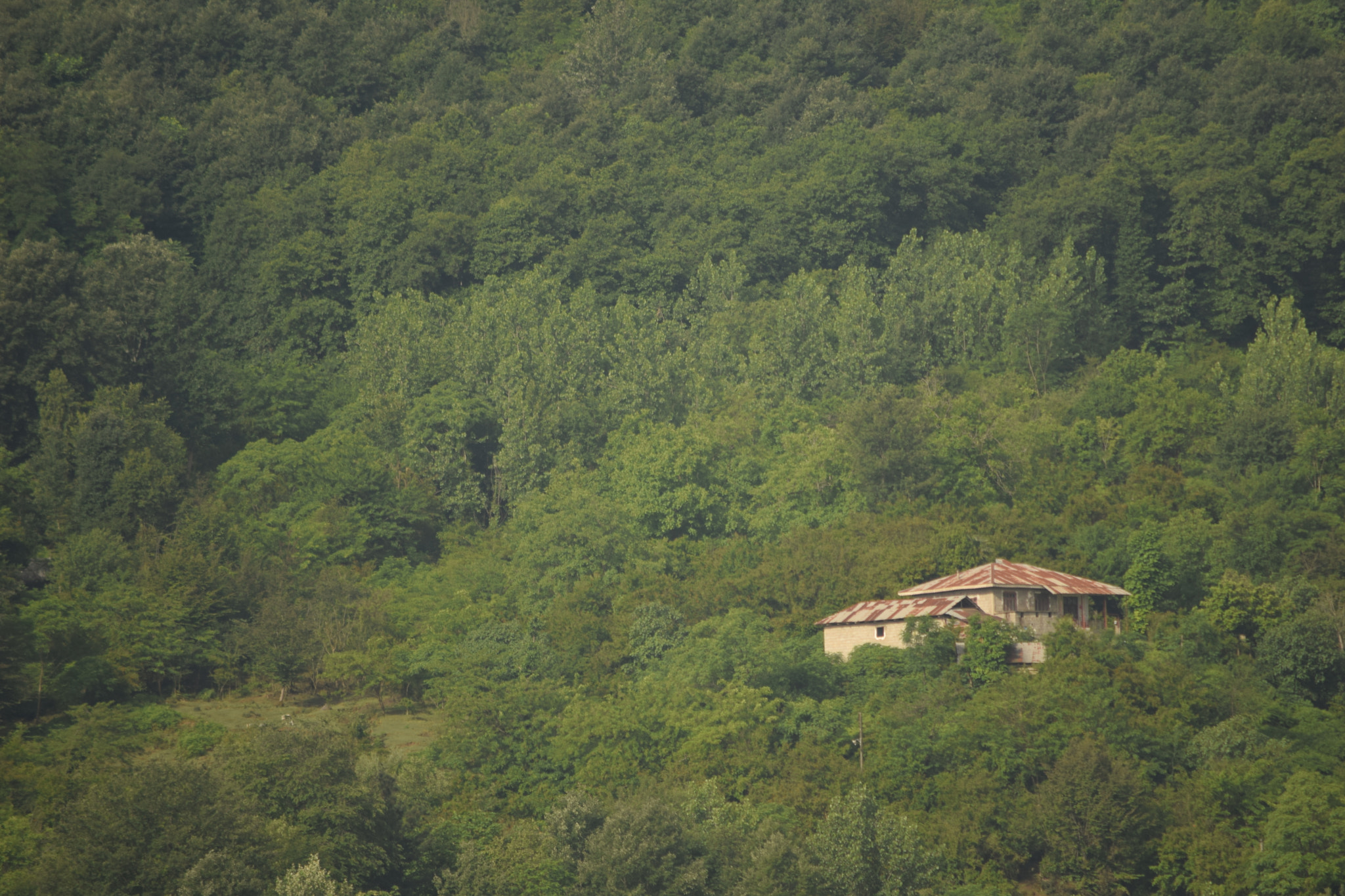 Nikon D3300 sample photo