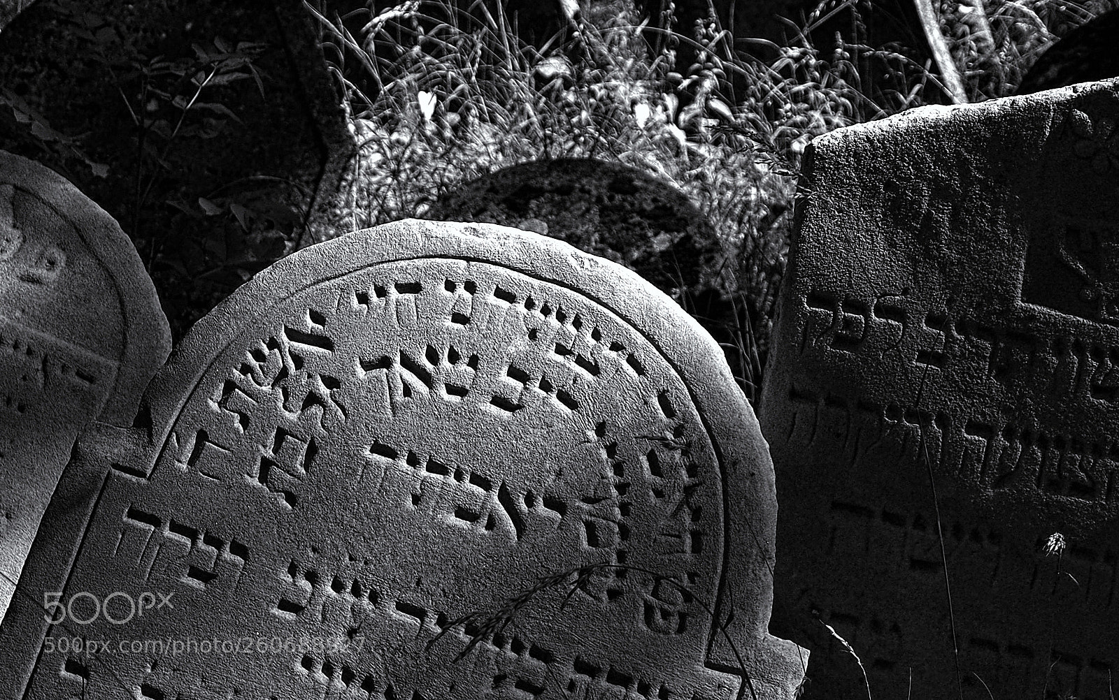 Olympus OM-D E-M10 II sample photo. Eternity and transience ll photography
