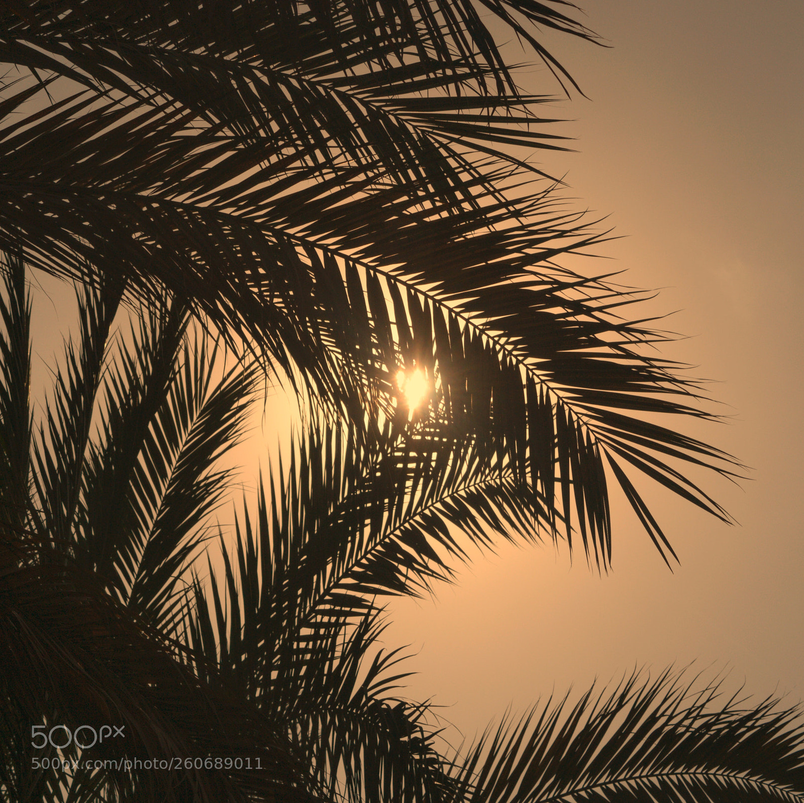 Nikon D3200 sample photo. Untitled photography