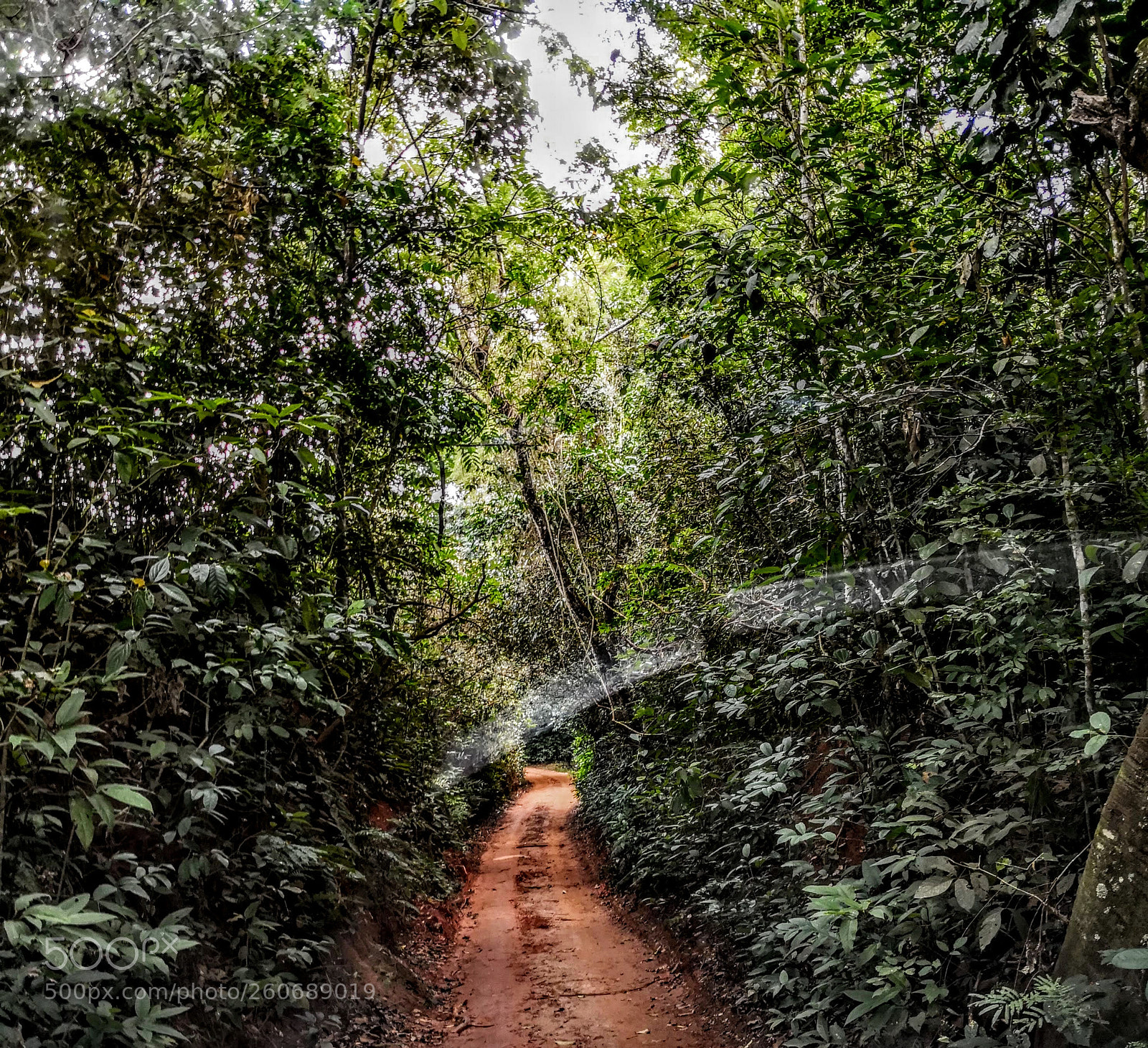 HUAWEI Mate 10 Pro sample photo. Untitled photography