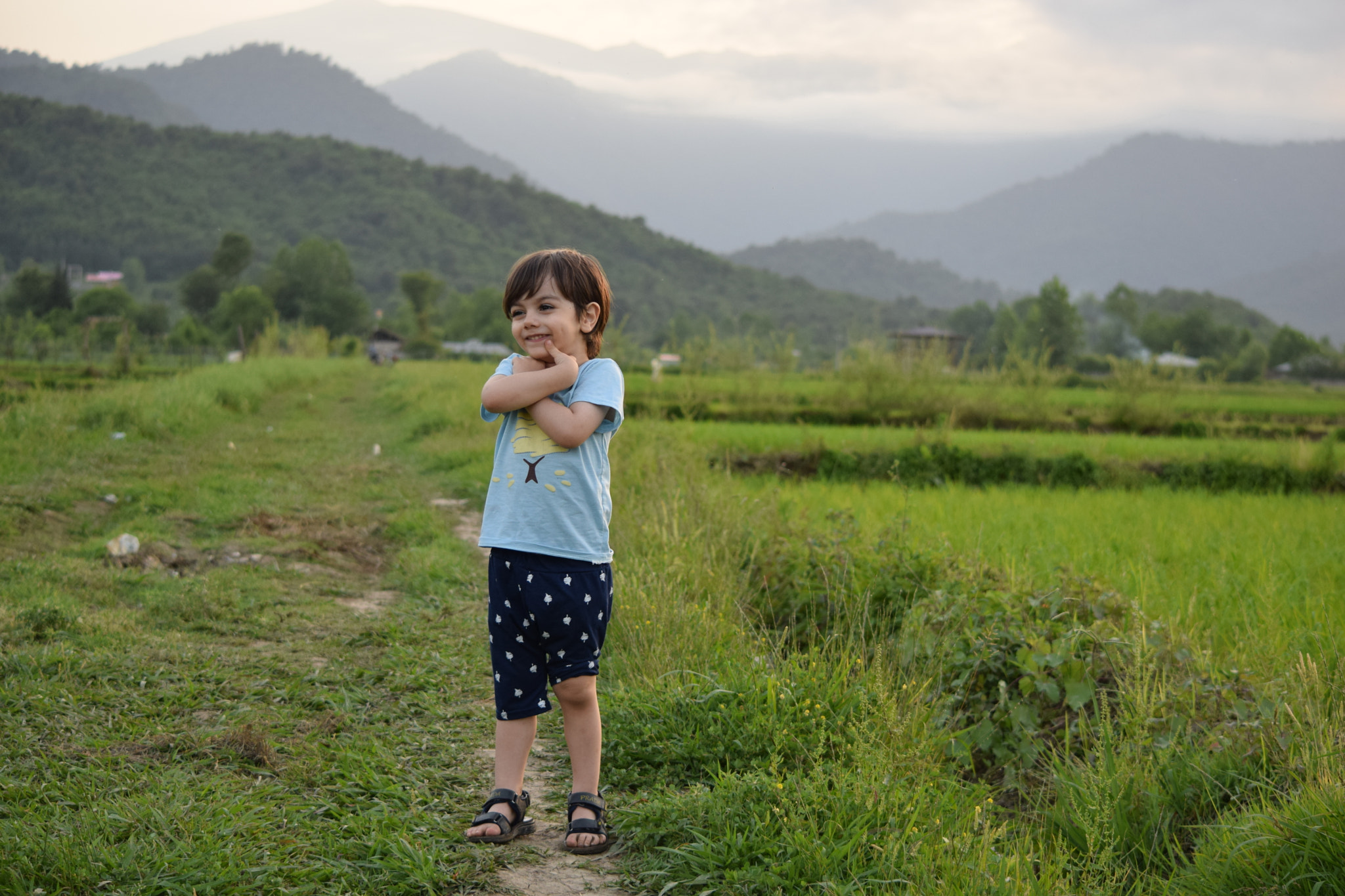Nikon D3300 sample photo