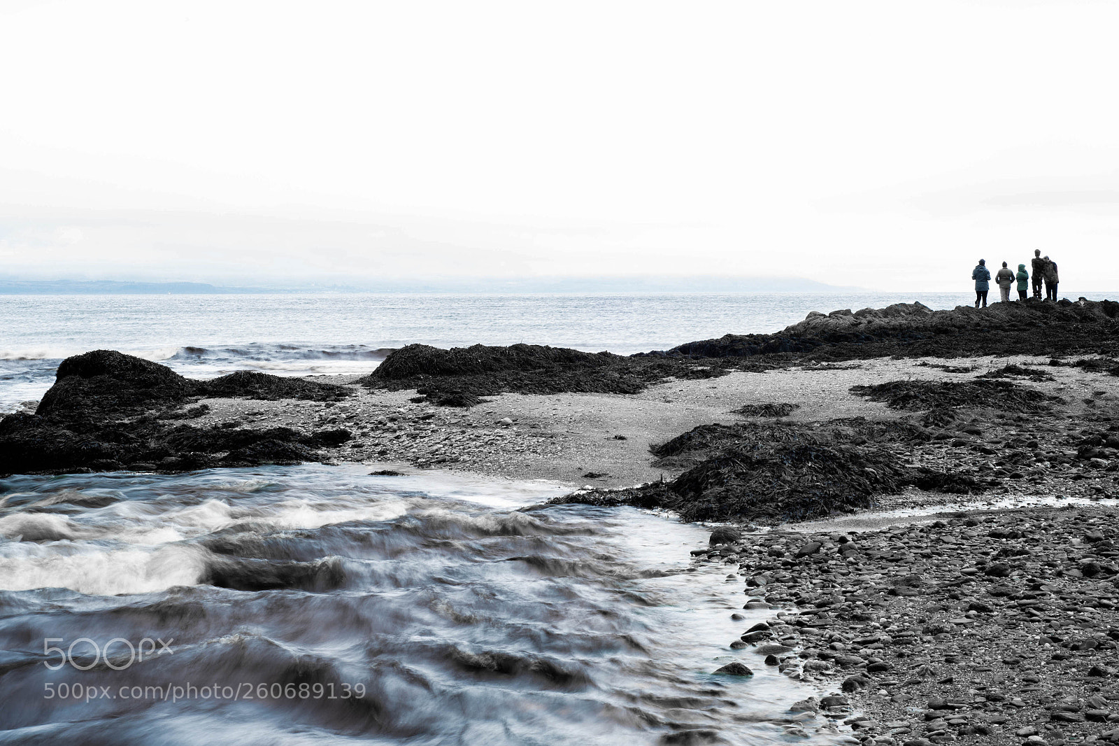 Nikon D750 sample photo. Odd one out photography