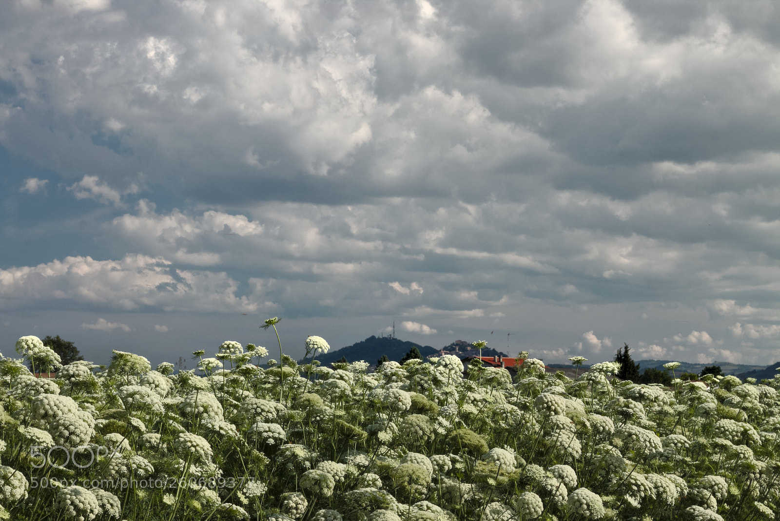 Canon EOS 70D + Canon EF 50mm F1.8 STM sample photo. Clouds photography