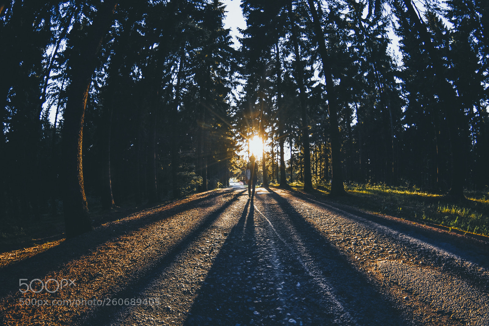 Nikon D7200 sample photo. Sun walkers photography