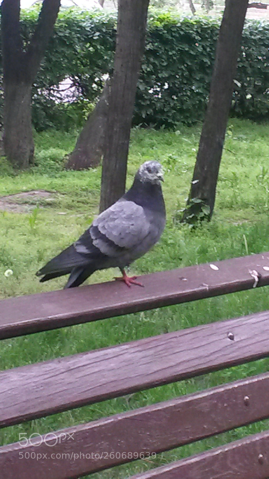 Samsung Galaxy S4 Mini sample photo. Untitled photography