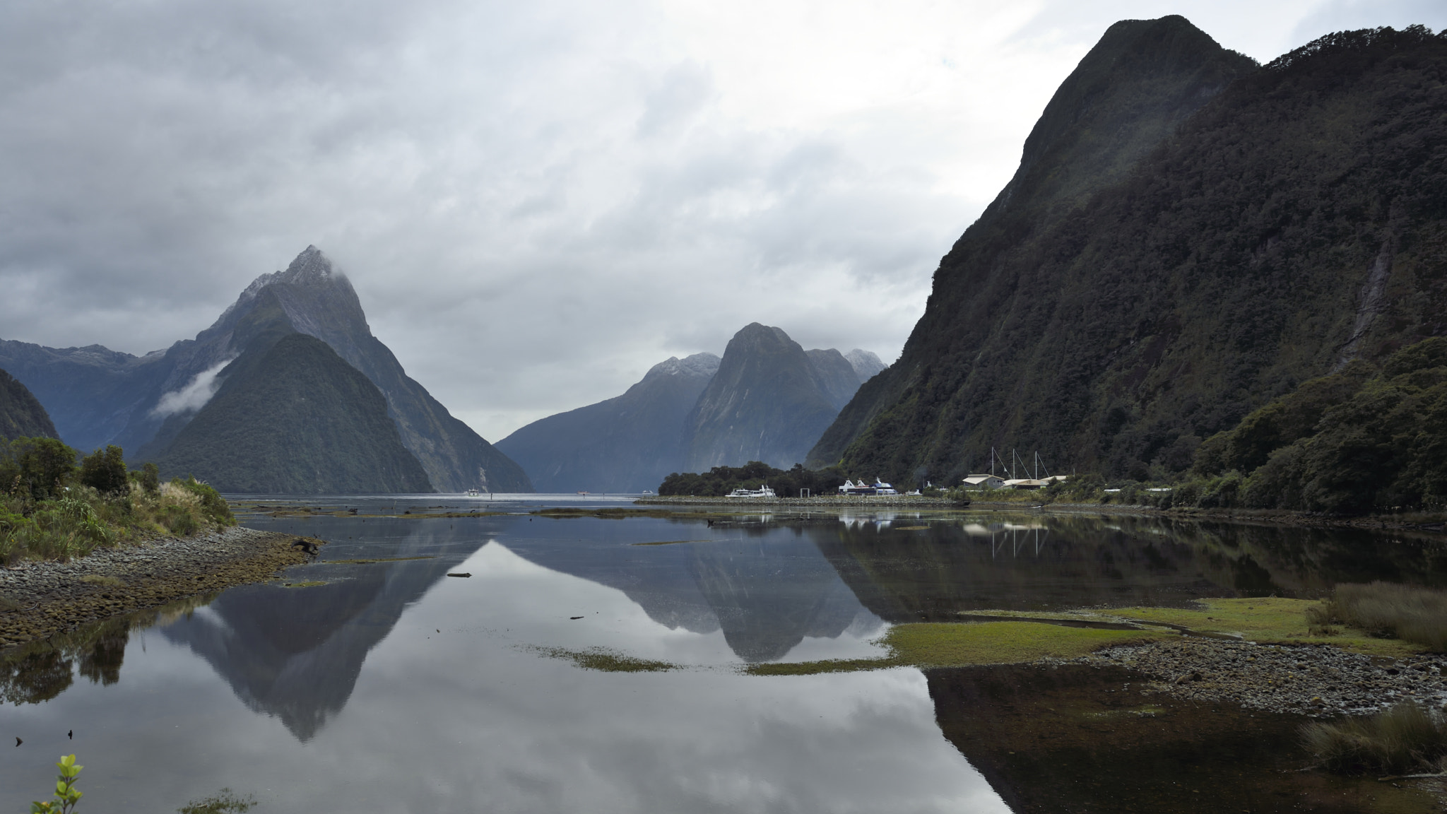 Nikon AF-S Nikkor 24-70mm F2.8G ED sample photo. Milford sound. new zealand photography