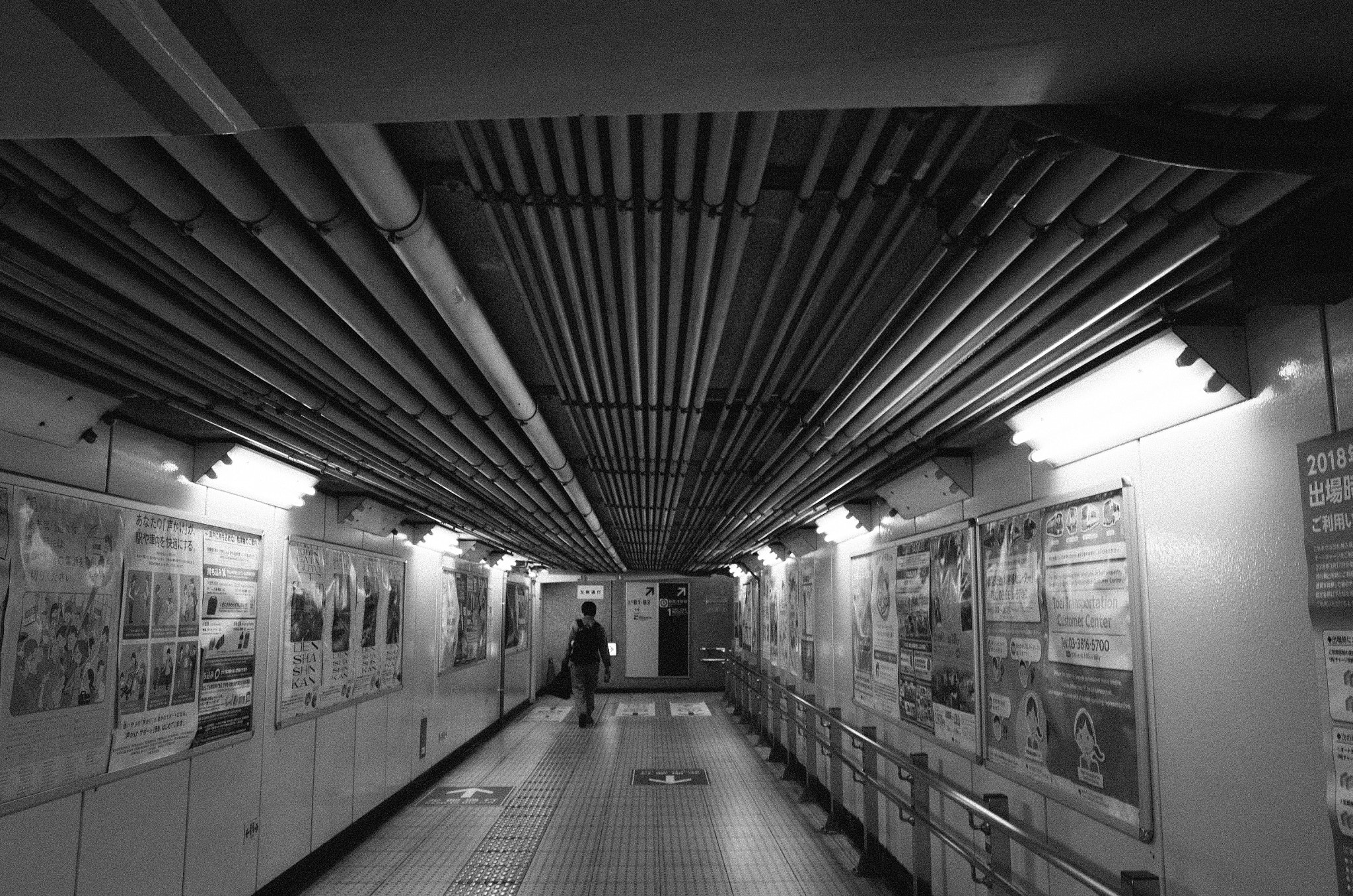 Ricoh GR II sample photo. R photography