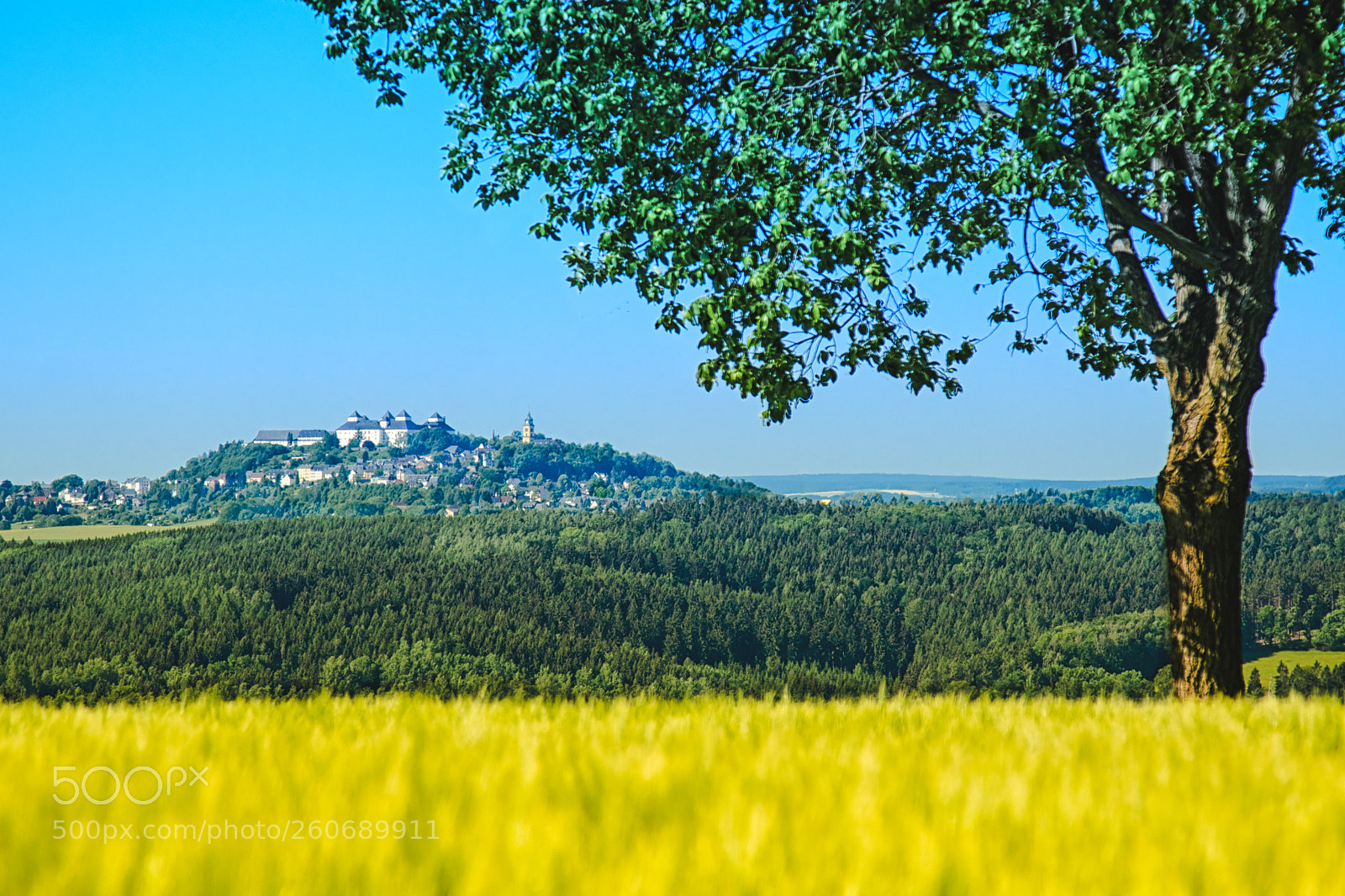 Canon EOS 80D sample photo. Augustusburg i photography