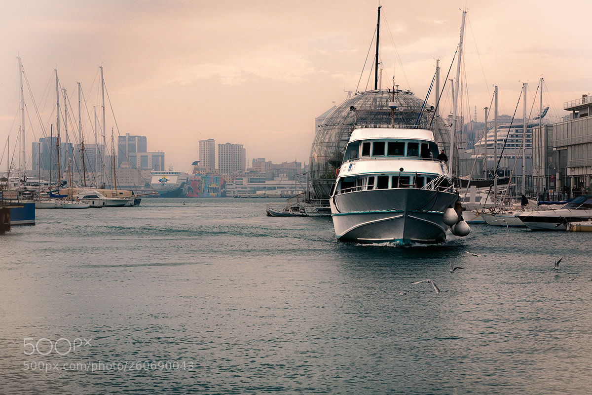 Canon EOS 5D sample photo. Genova expo photography