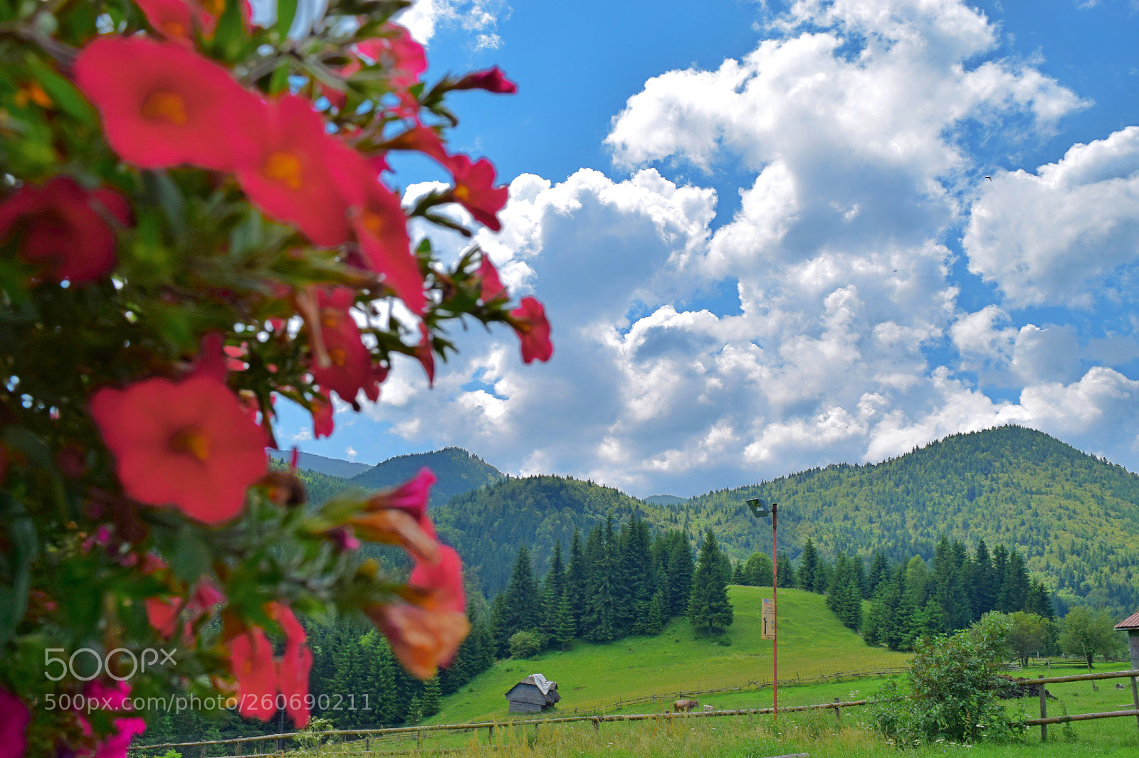 Nikon D5300 sample photo. Summer in mountain village photography