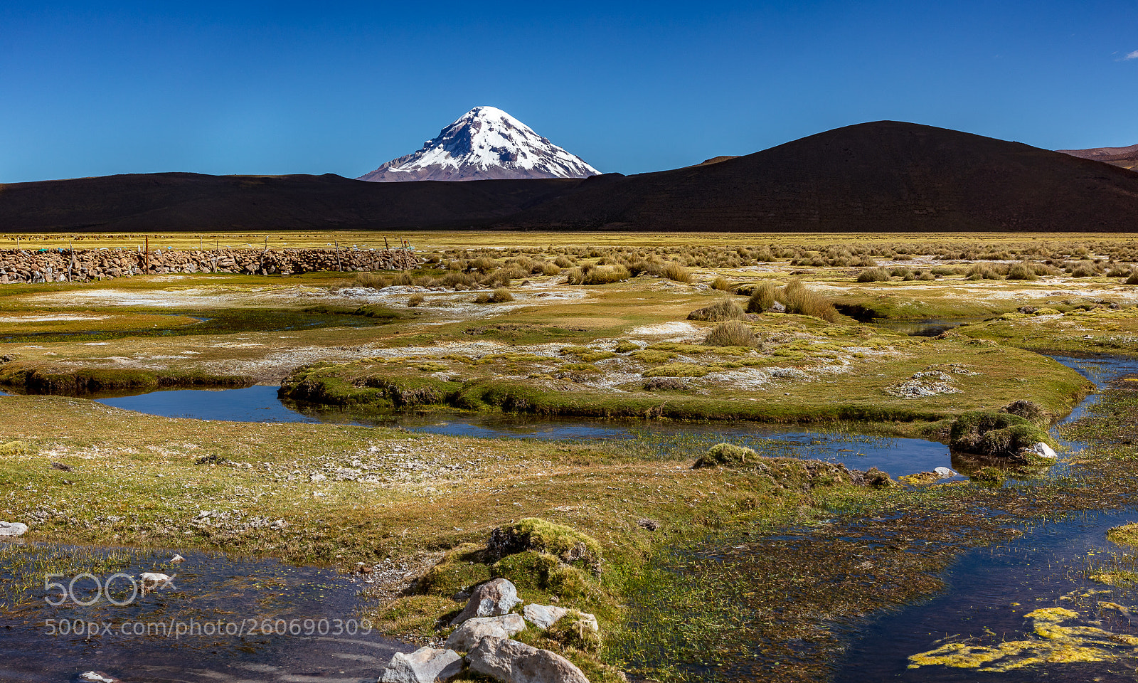 Canon EOS 5DS sample photo. Bolivia, altiplano - sajama photography