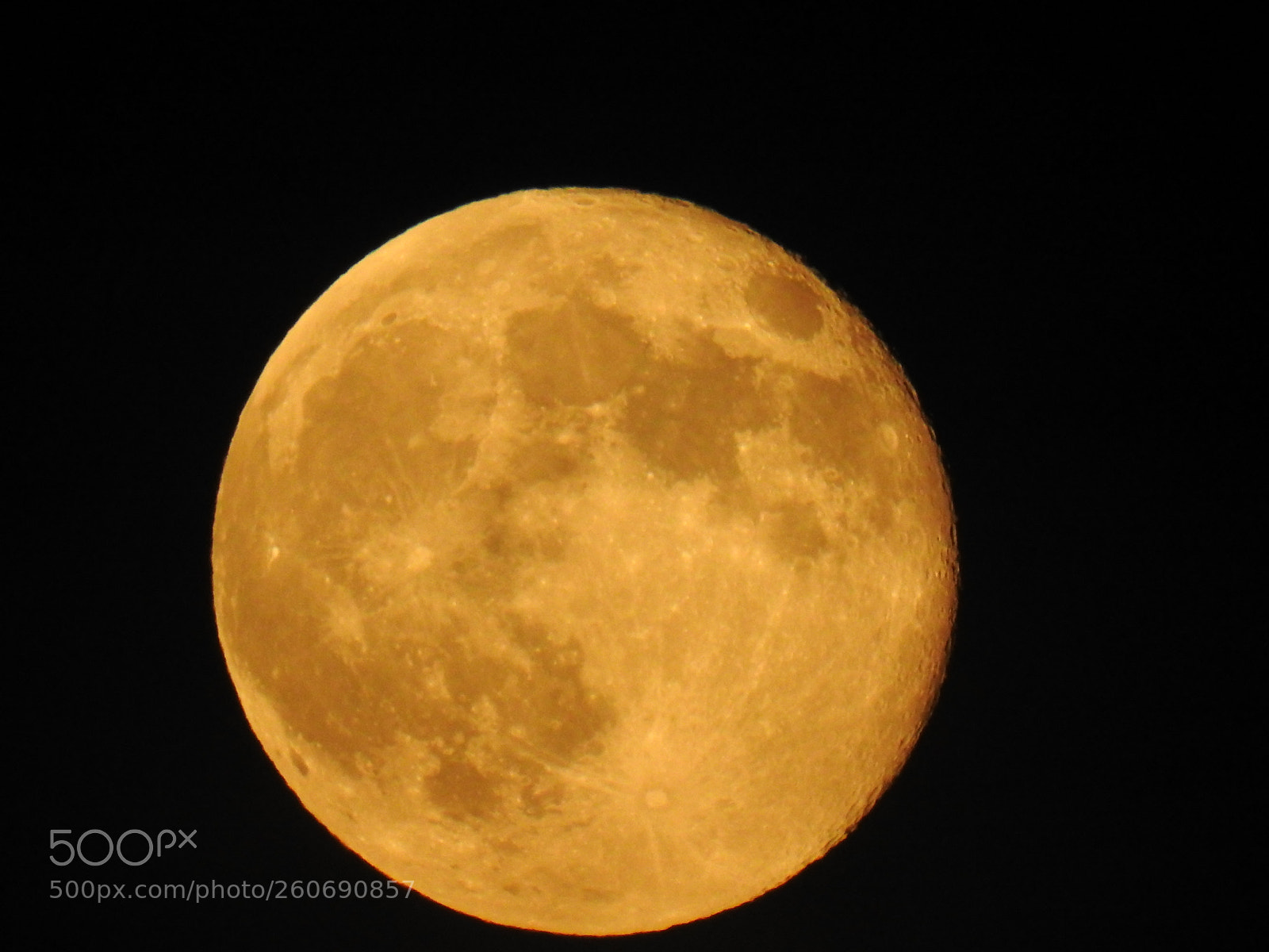 Nikon Coolpix P900 sample photo. Full yellow moon photography