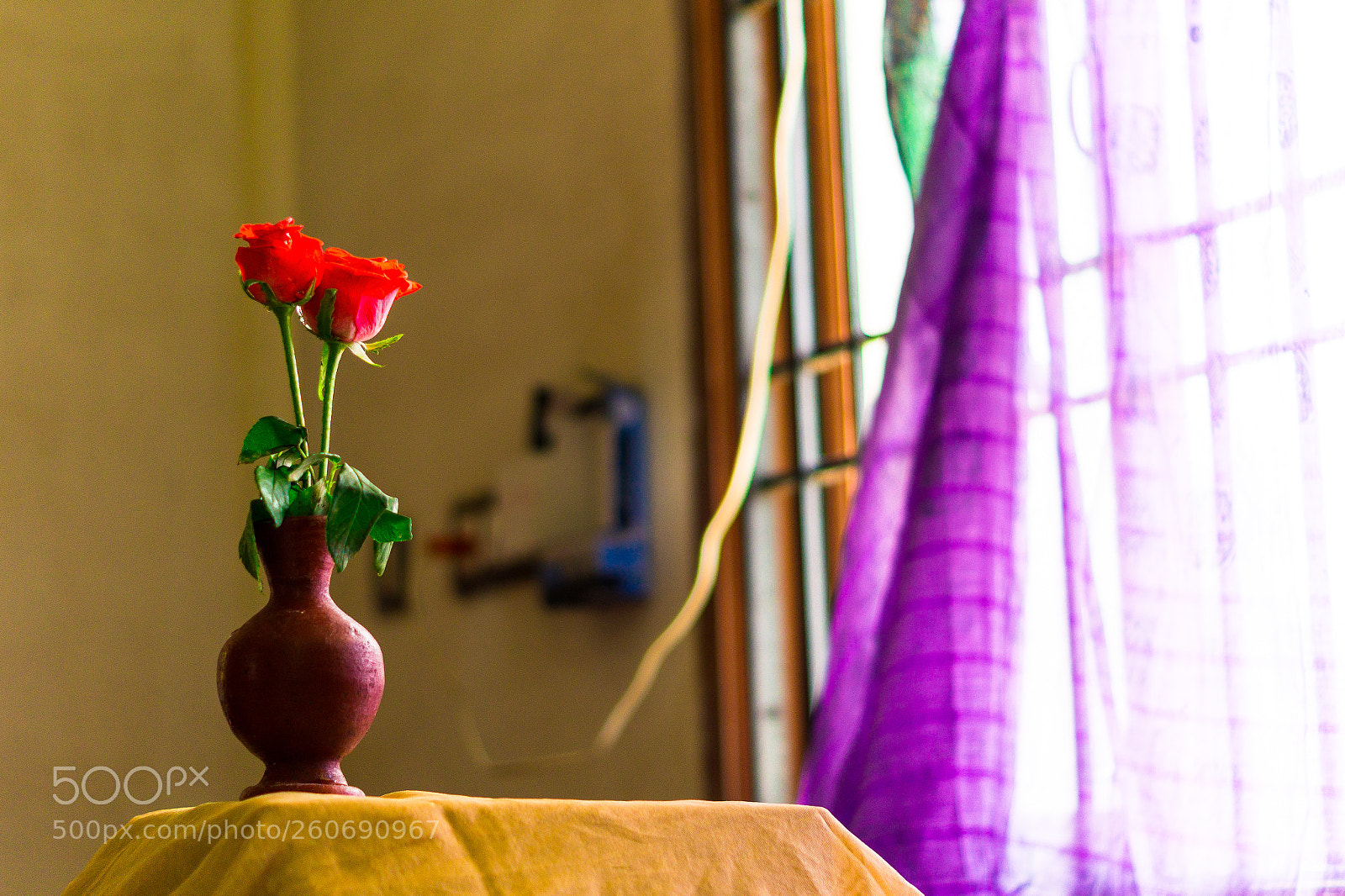 Sony SLT-A58 sample photo. Flower pot infront of photography