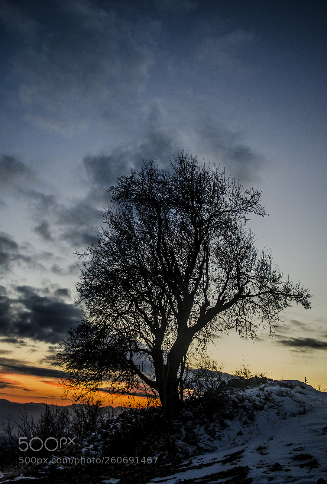 Nikon D7000 sample photo. P photography