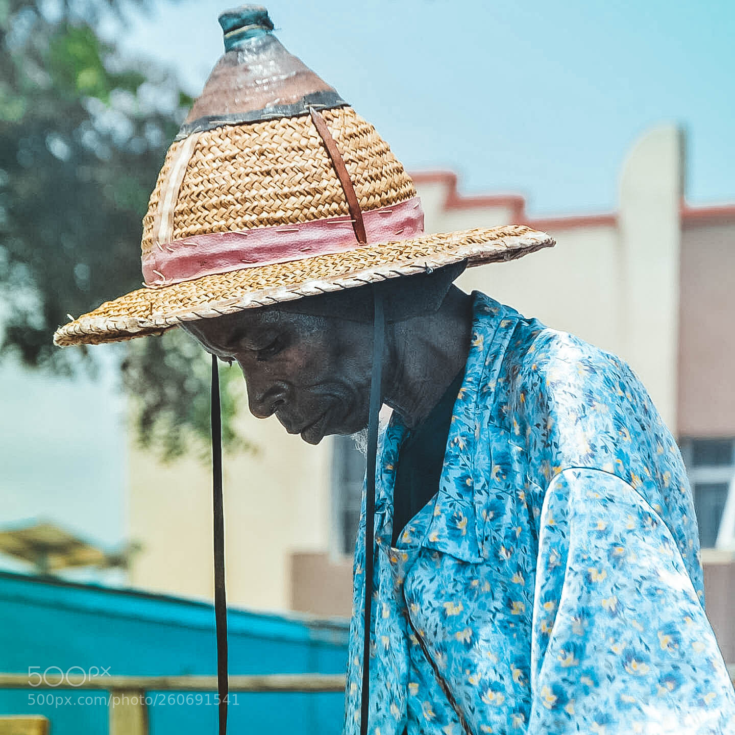 Nikon D7000 sample photo. Hold your head up photography