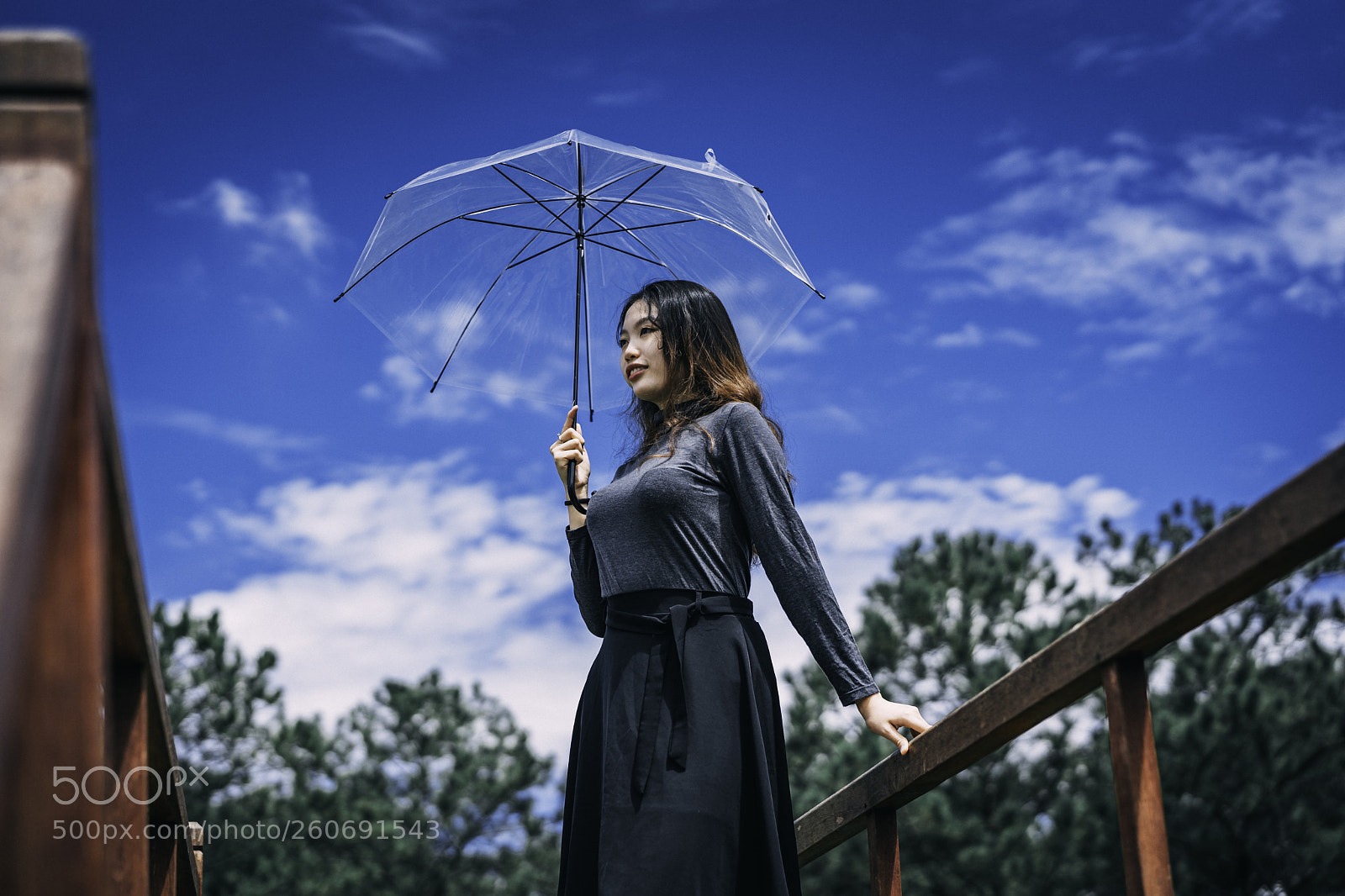 Sony a7 III sample photo. Umbrella photography