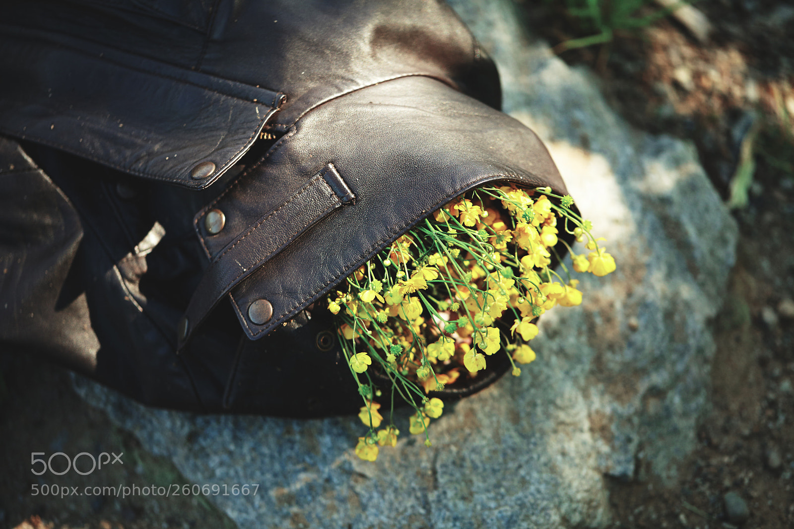Canon EOS 5D Mark II sample photo. Ulsei photographer elena ukolova photography