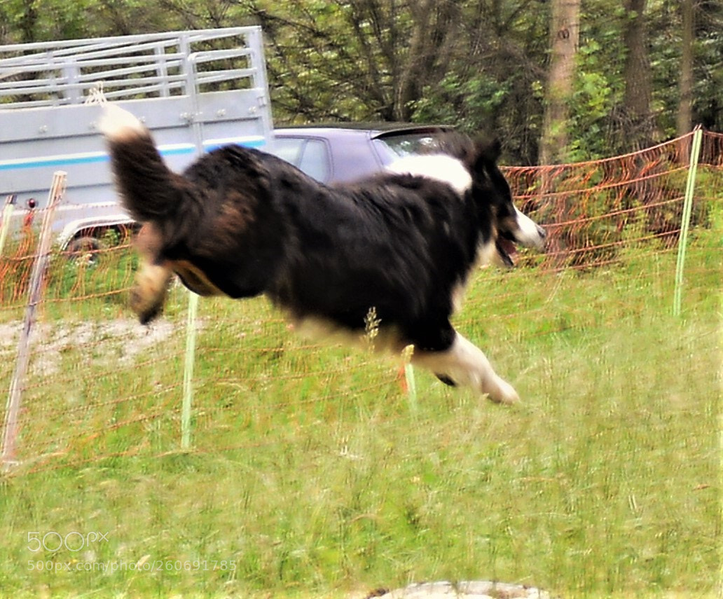 Nikon D3200 sample photo. Untitled photography