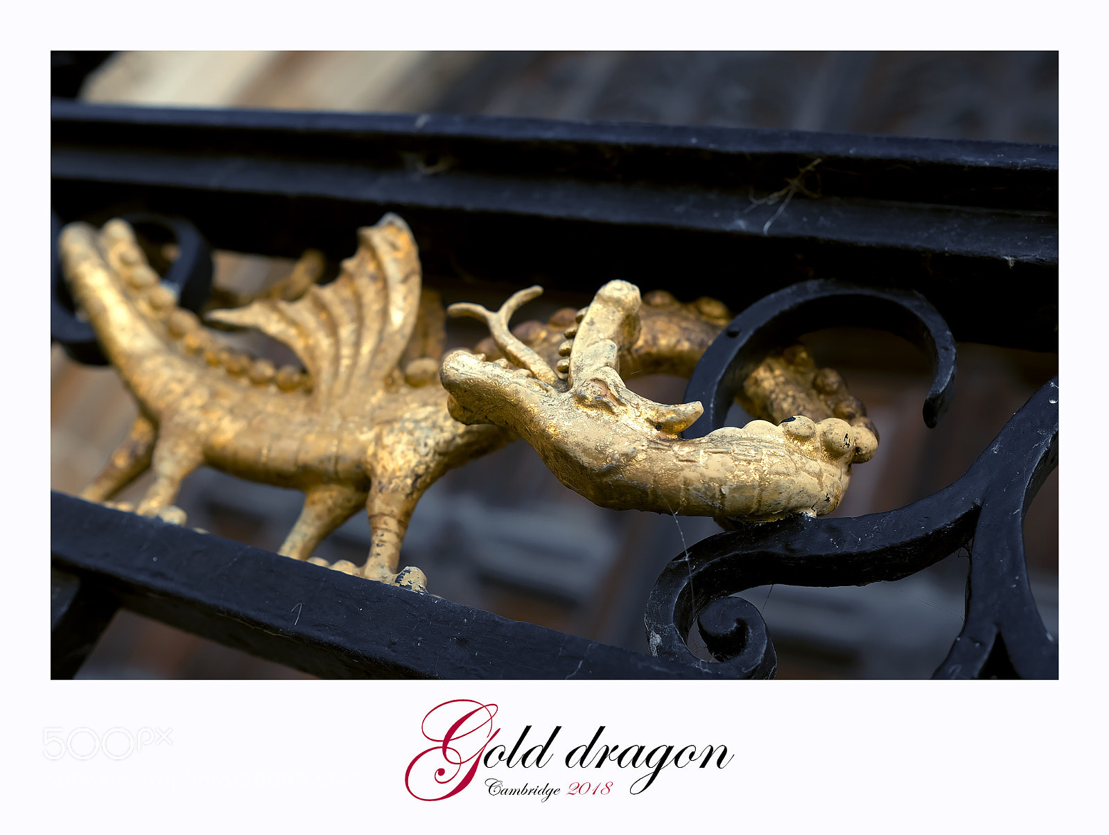 Fujifilm X-T1 sample photo. Gold dragon photography