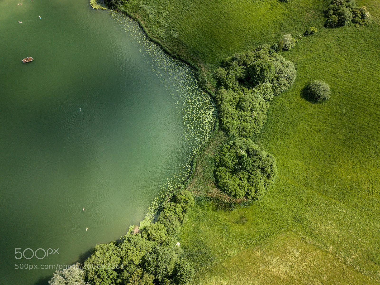 DJI FC220 sample photo. Green lake photography