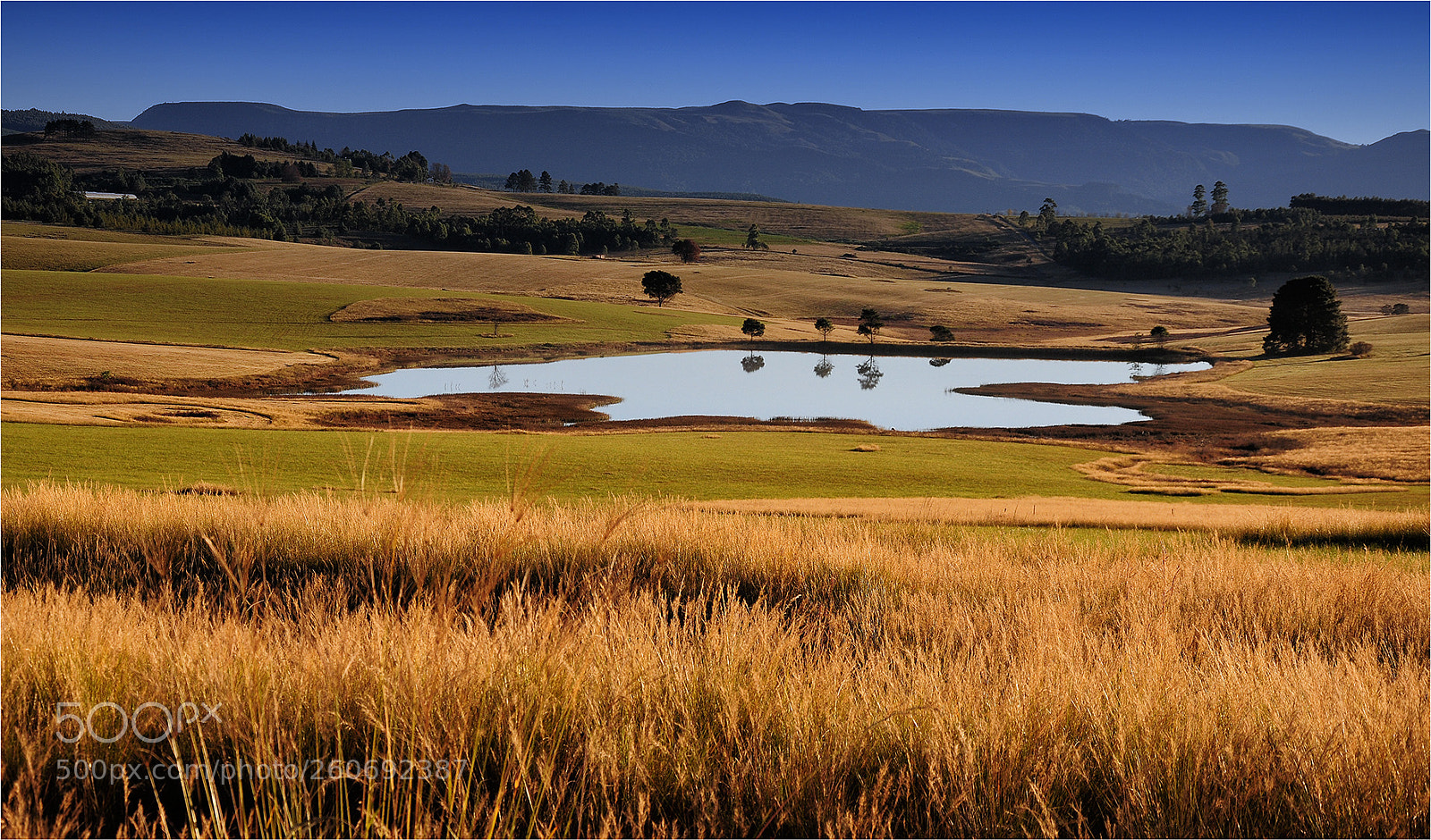 Nikon D300 sample photo. Karkloof scape hd photography